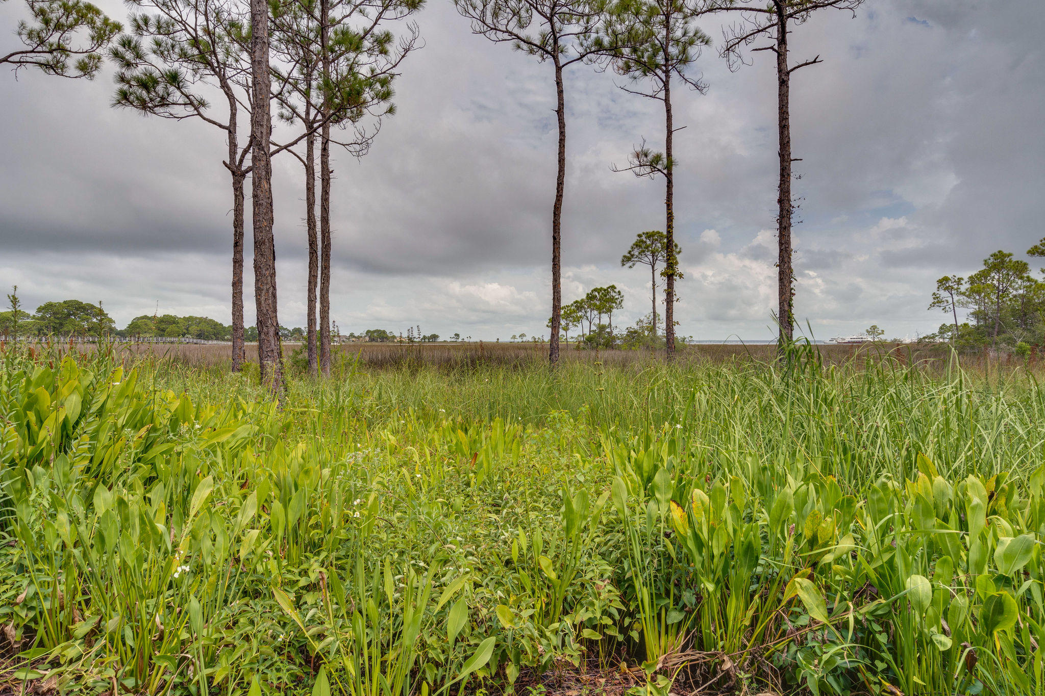 HERON WALK PH 1 - Residential