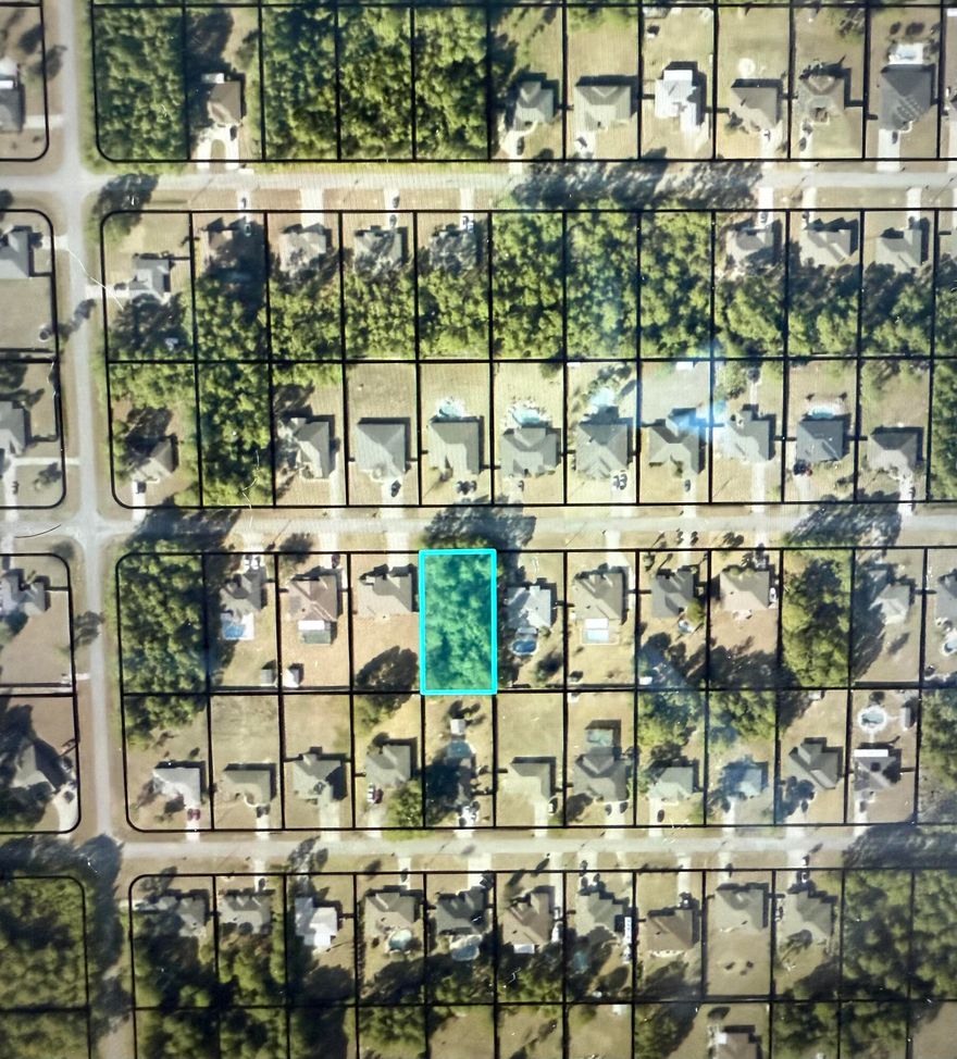 Buildable half acre high and dry property. Wetland study was performed.