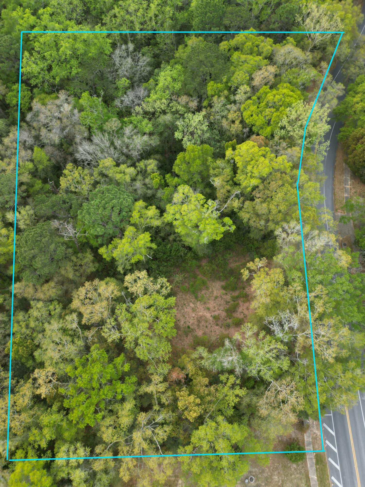 Build your dream home in the heart of Defuniak Springs on this oversized .82 acre homesite. This lot boasts space, privacy, and convenience, as it is just 3/4 mile to the historic downtown with restaurants and shops and approximately .5 mile from Circle Drive - Lake Defuniak.City water and sewer is available at street and power utilities. Ready to build your new home.