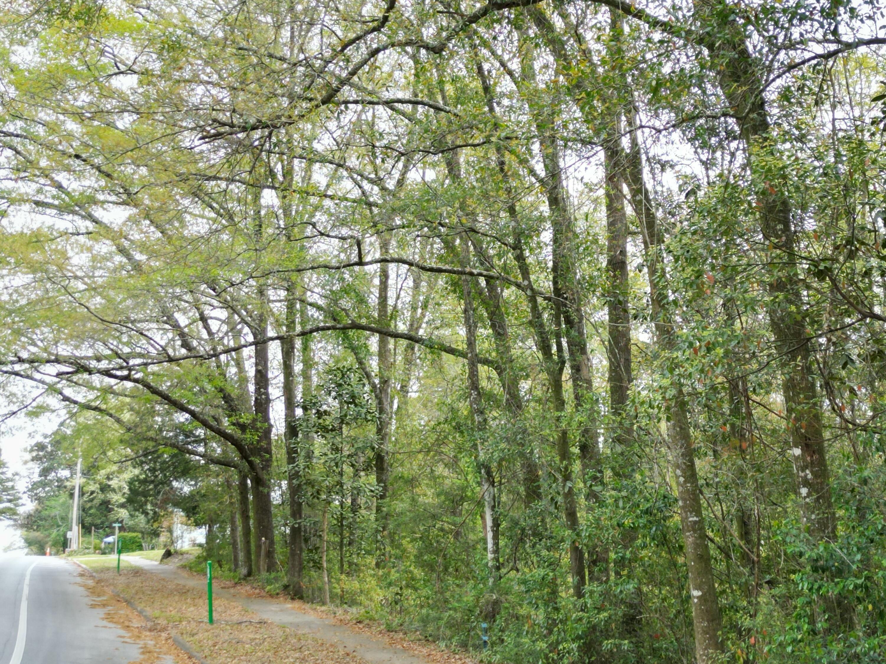 TOWN OF DEFUNIAK SPRINGS - Land
