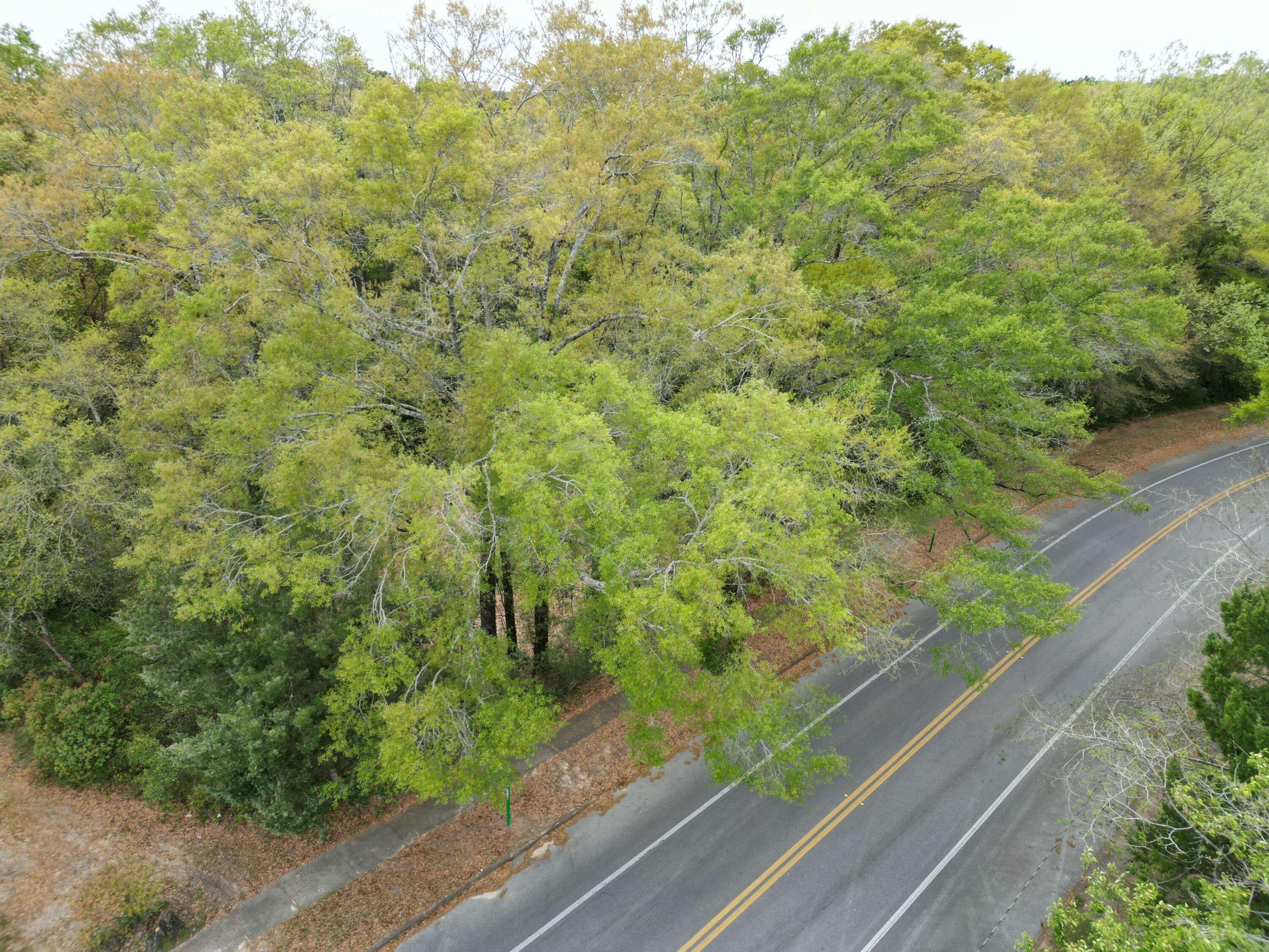 TOWN OF DEFUNIAK SPRINGS - Land