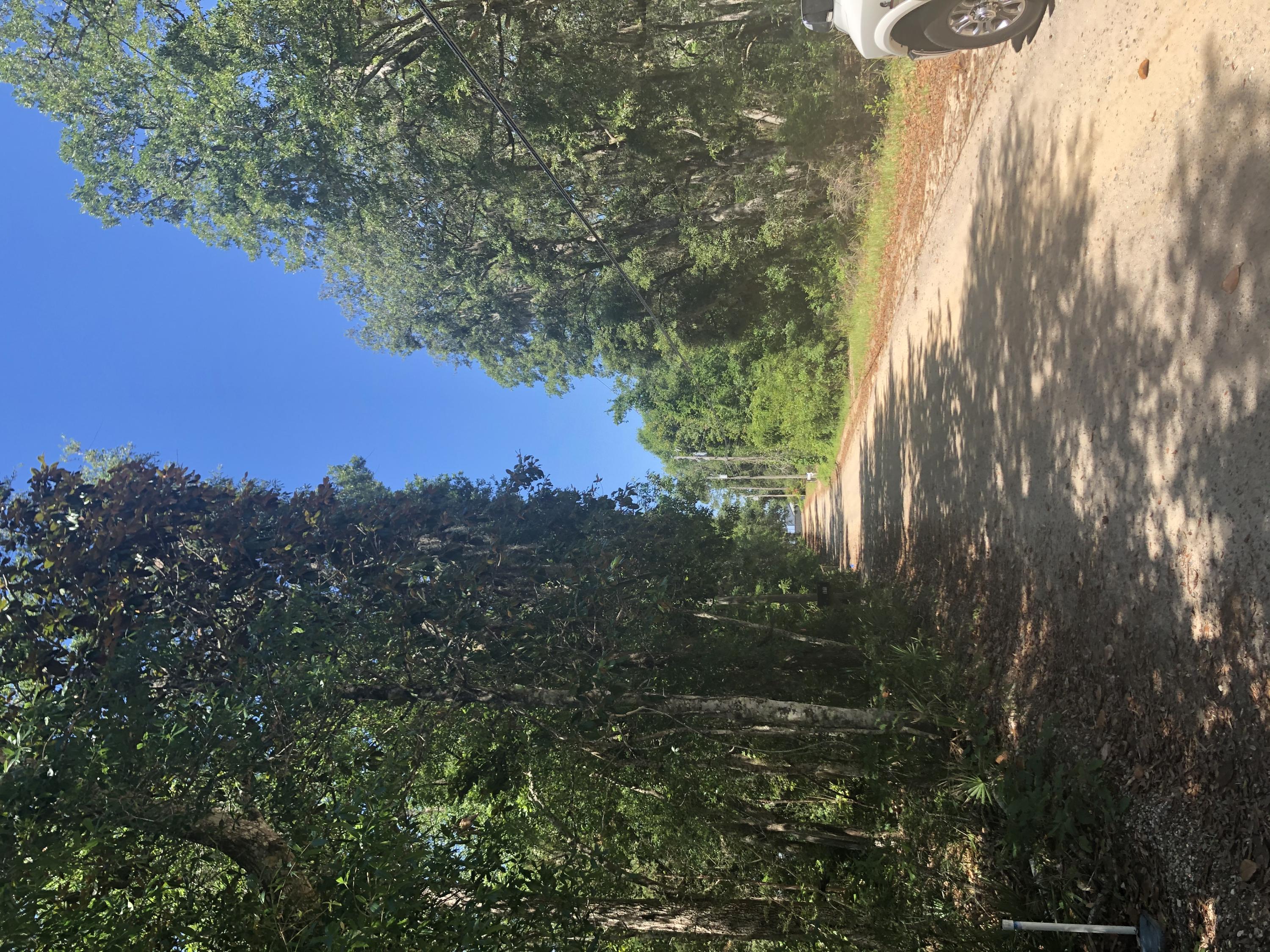 WINTER HOME LOT 92 BAYVIEW S/B PB 2-63 - Land