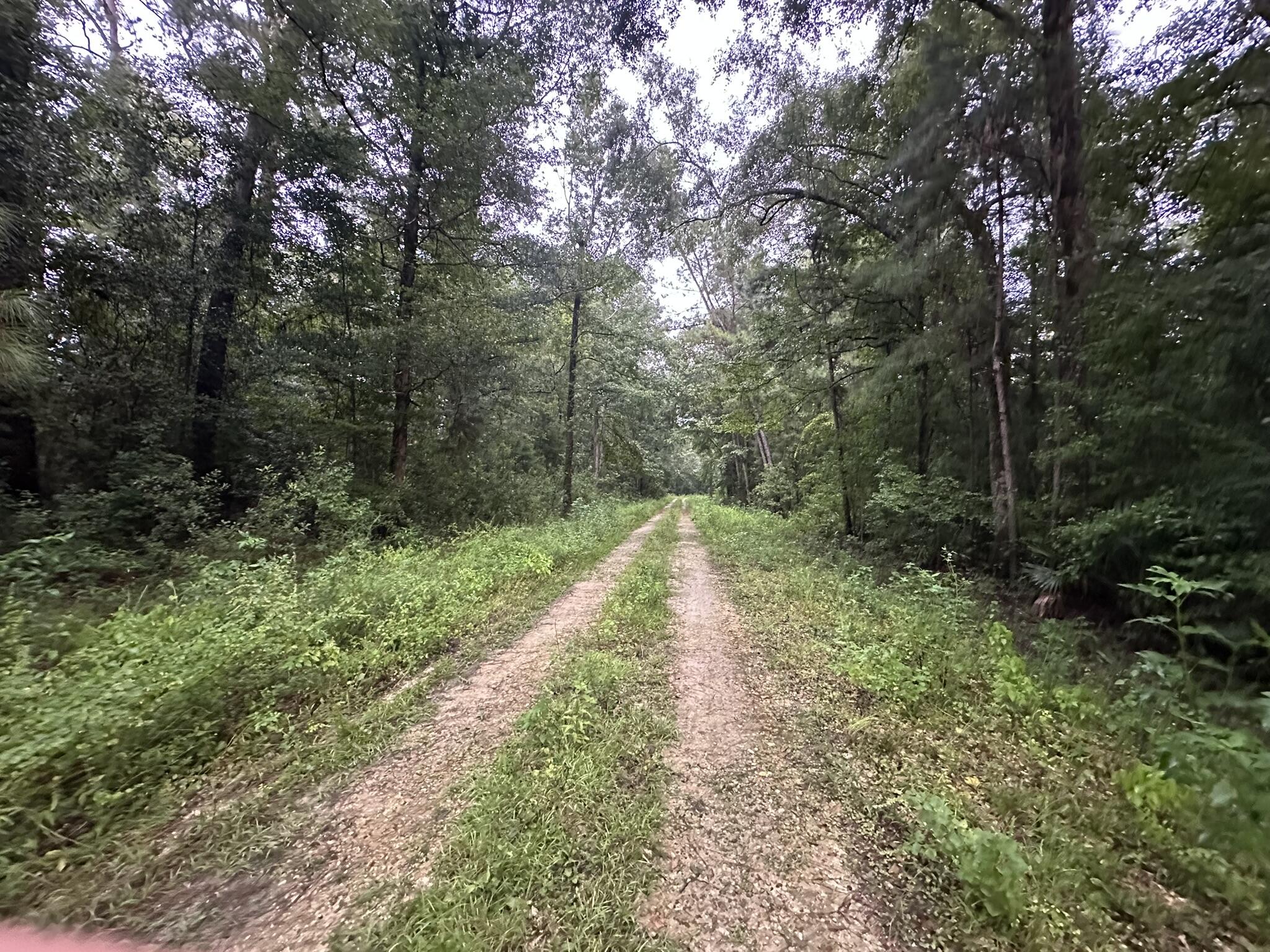 Riverside Subdivision - Gulf County - Land