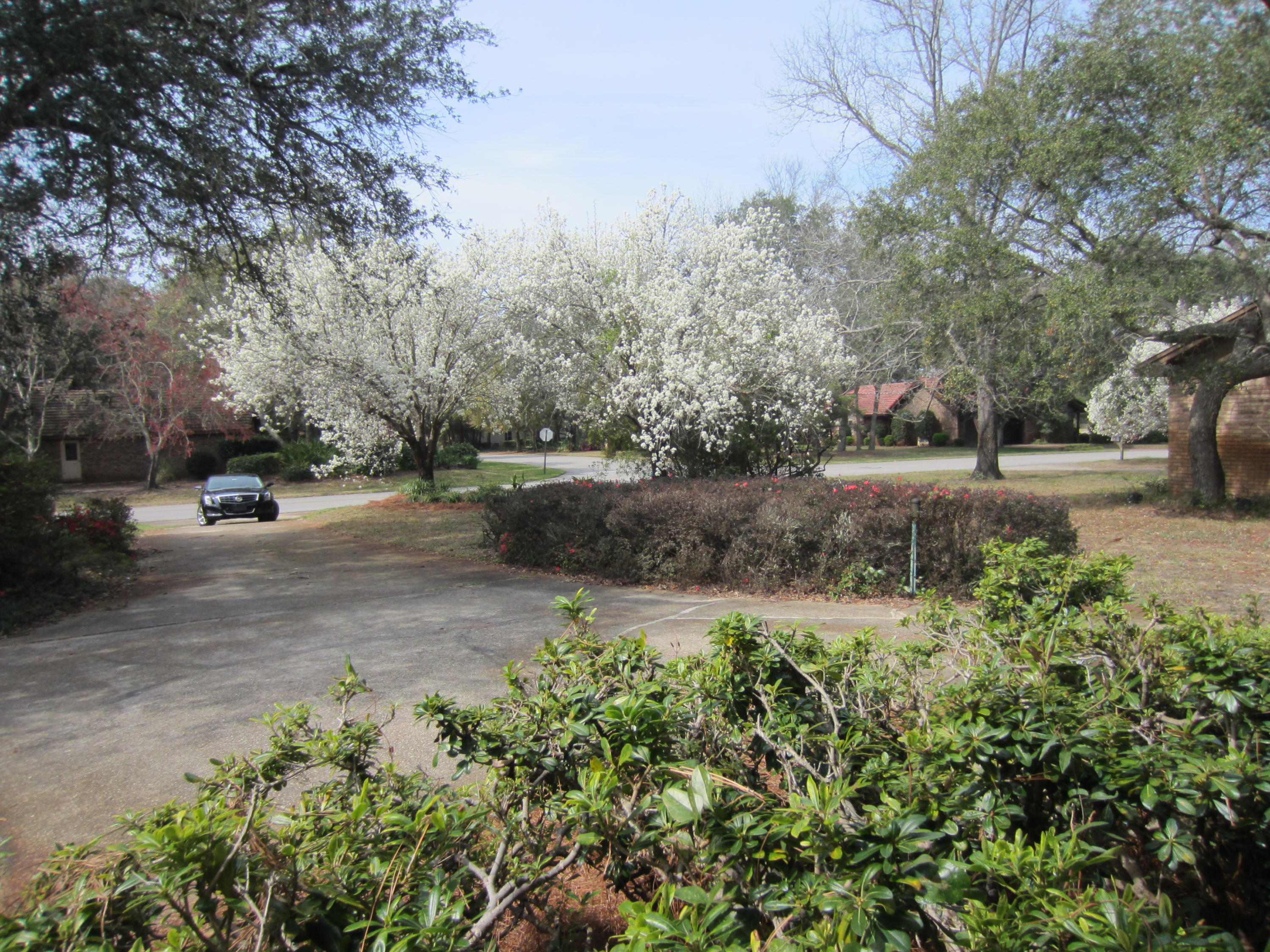 ST ANDREWS WEST BLUEWATER BAY 2 - Residential