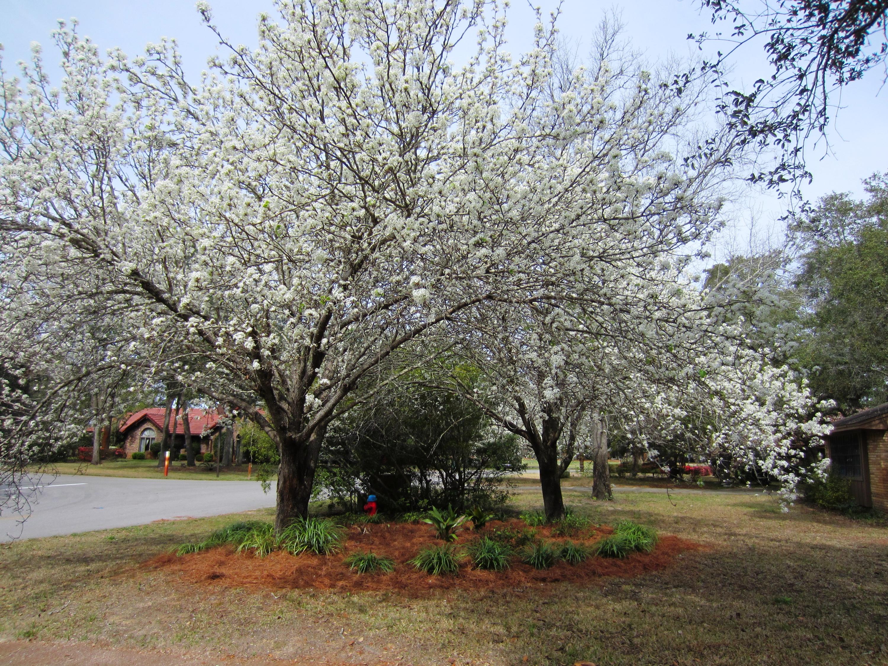 ST ANDREWS WEST BLUEWATER BAY 2 - Residential