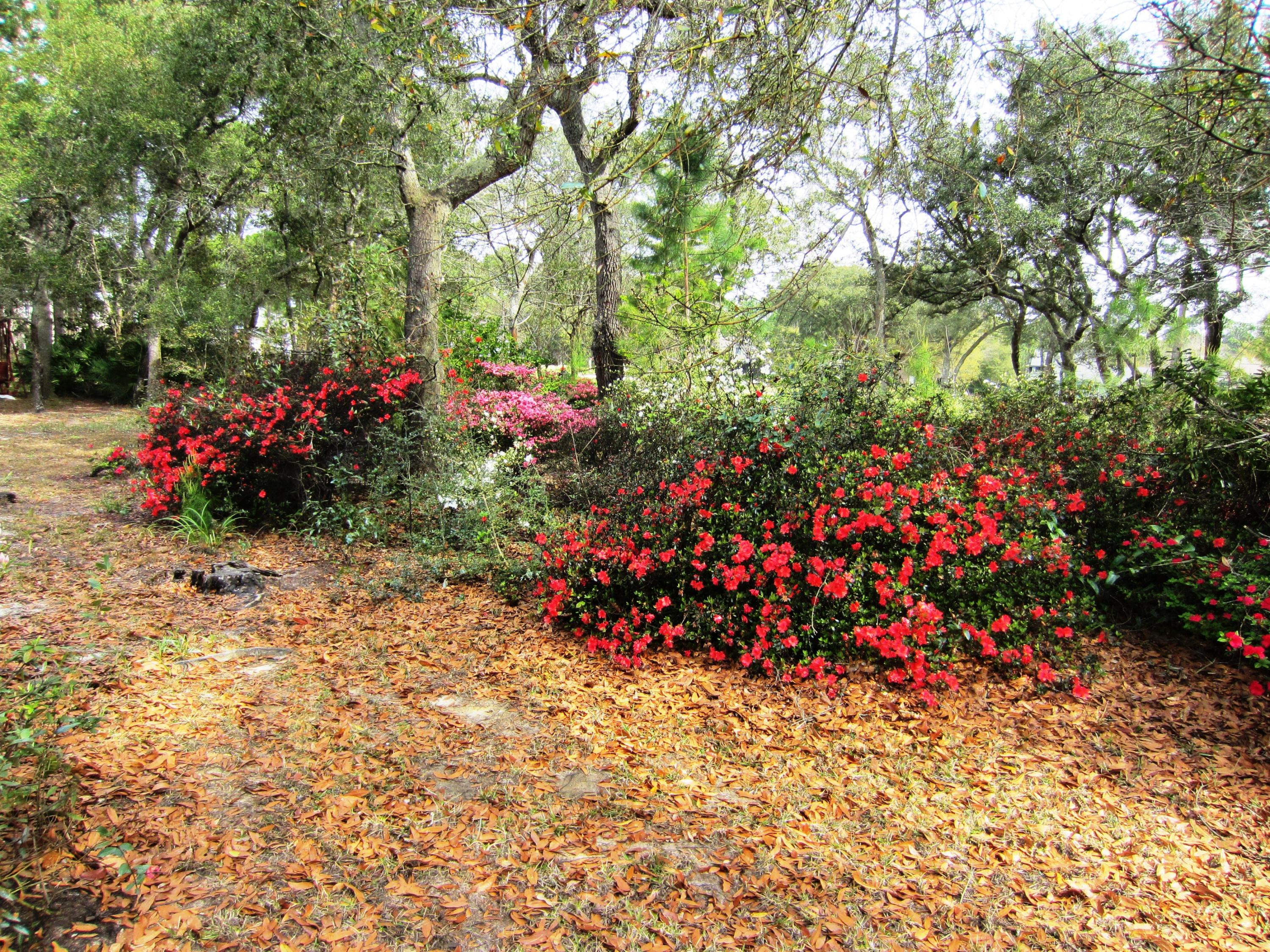 ST ANDREWS WEST BLUEWATER BAY 2 - Residential