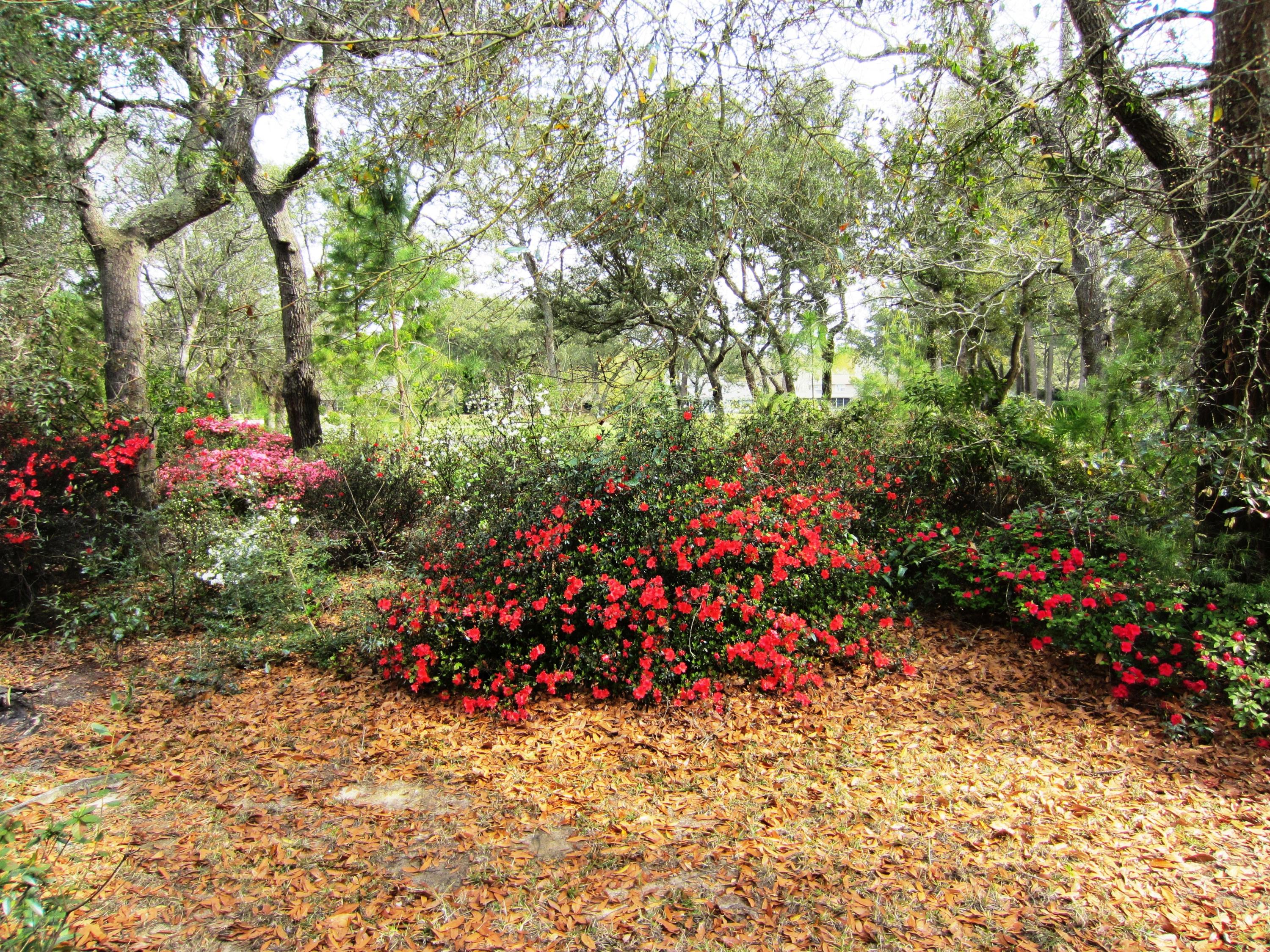 ST ANDREWS WEST BLUEWATER BAY 2 - Residential