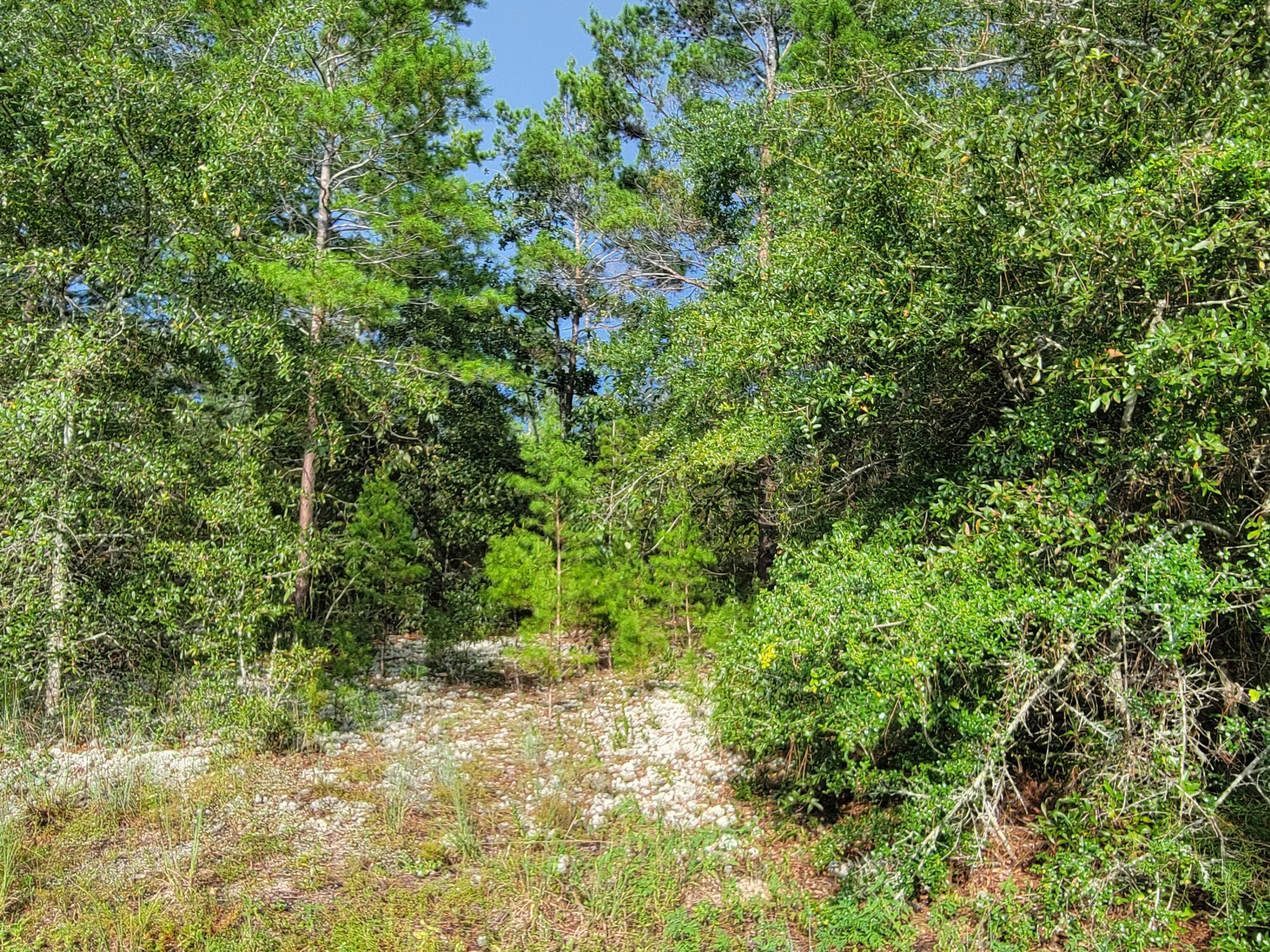 Metes and Bounds - Land