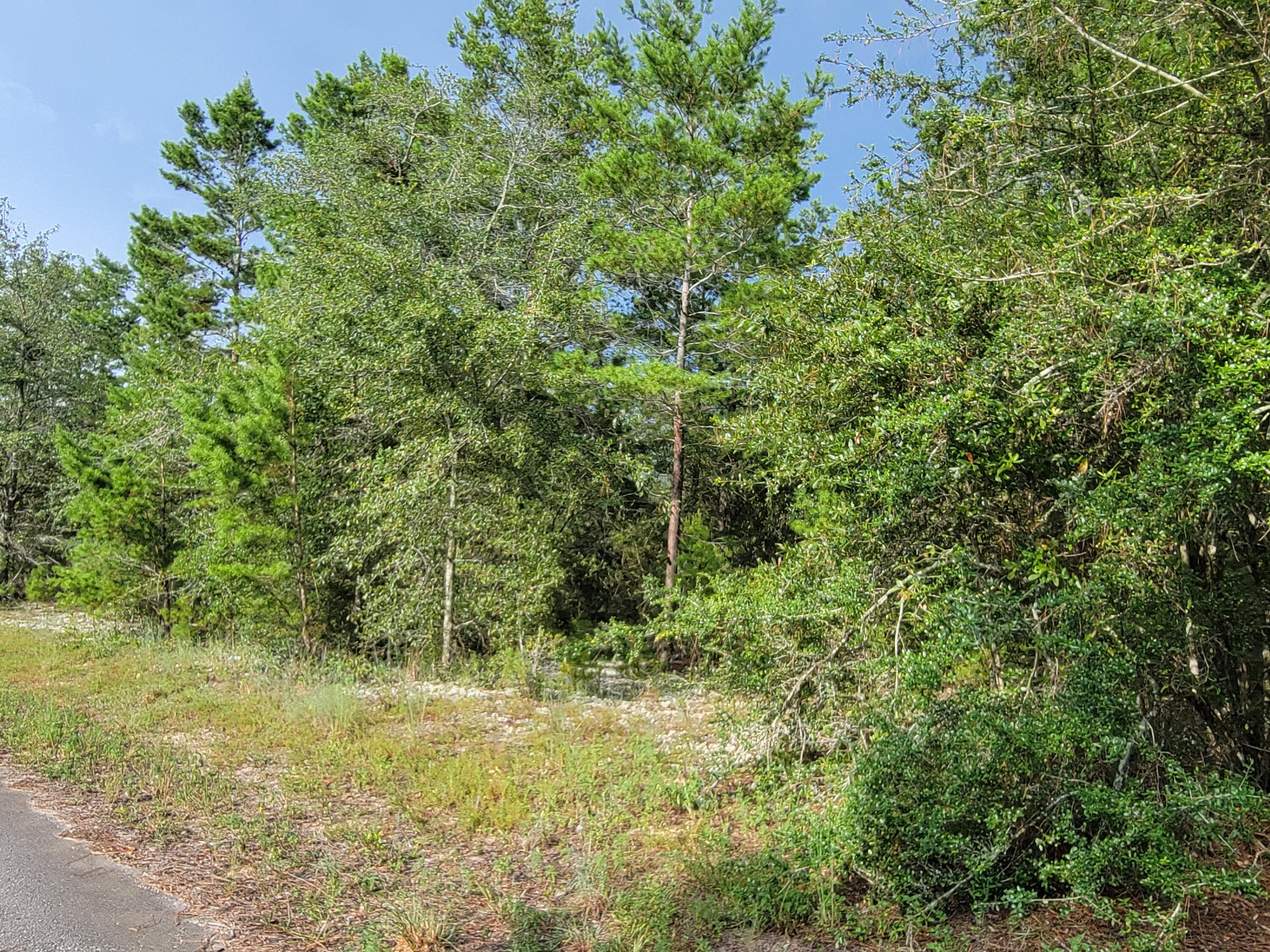 Metes and Bounds - Land