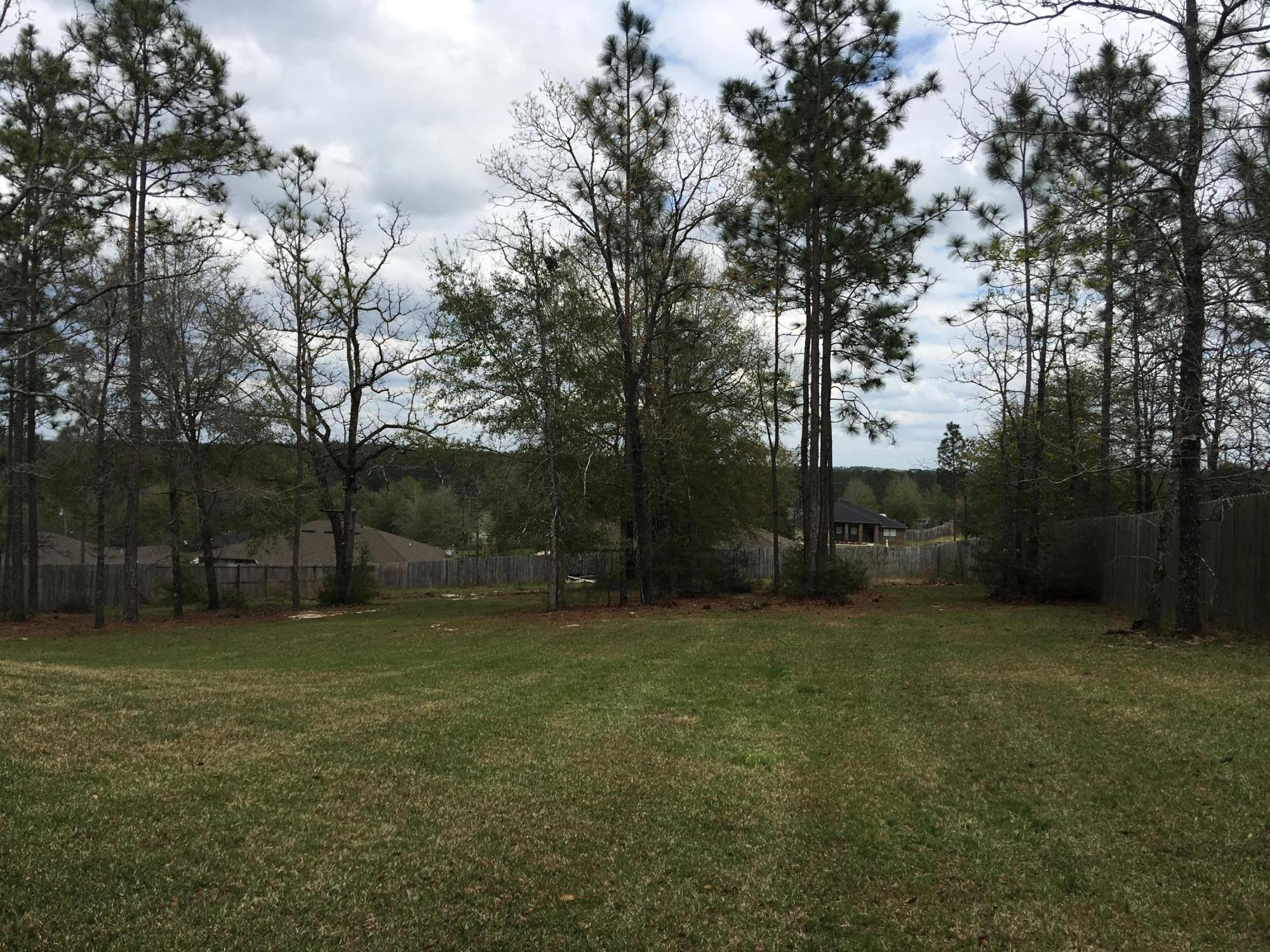 SILVER SPRINGS EST - Residential