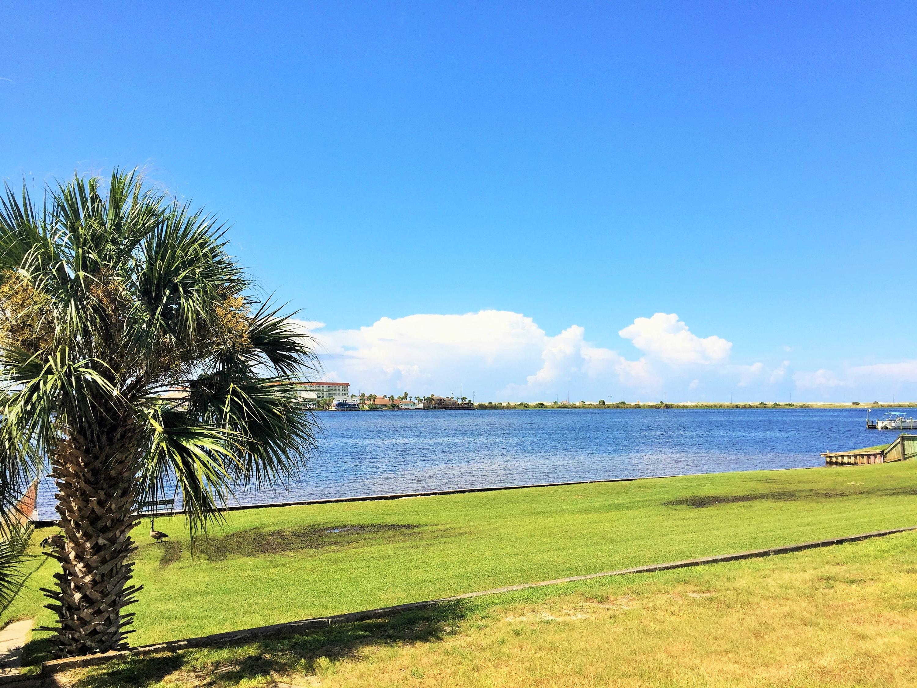 SEA PALM CONDO - Residential