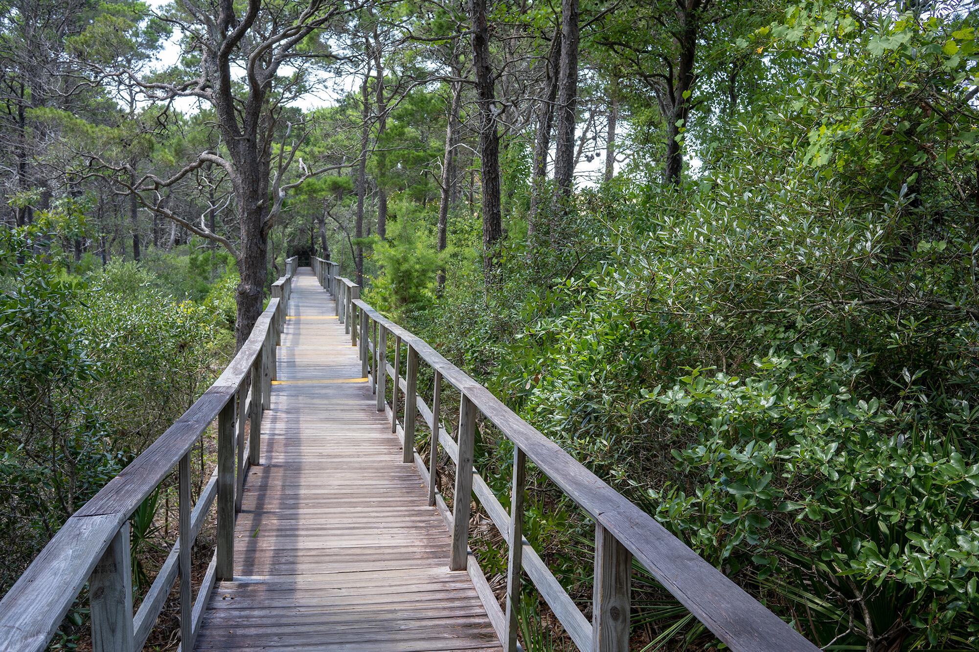 SANCTUARY AT REDFISH - Residential