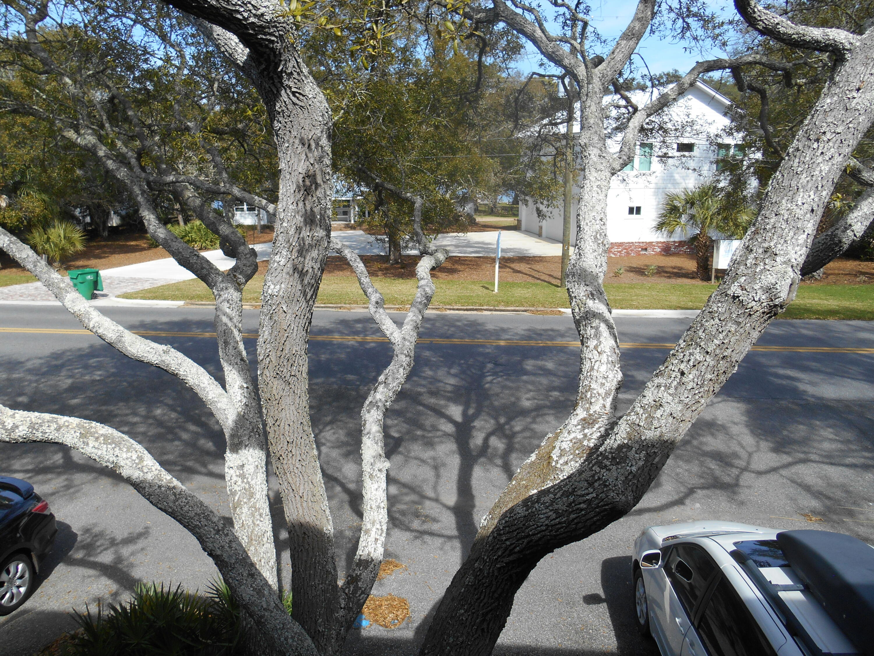 Cinco Bayou Cercle Nautique TH - Residential