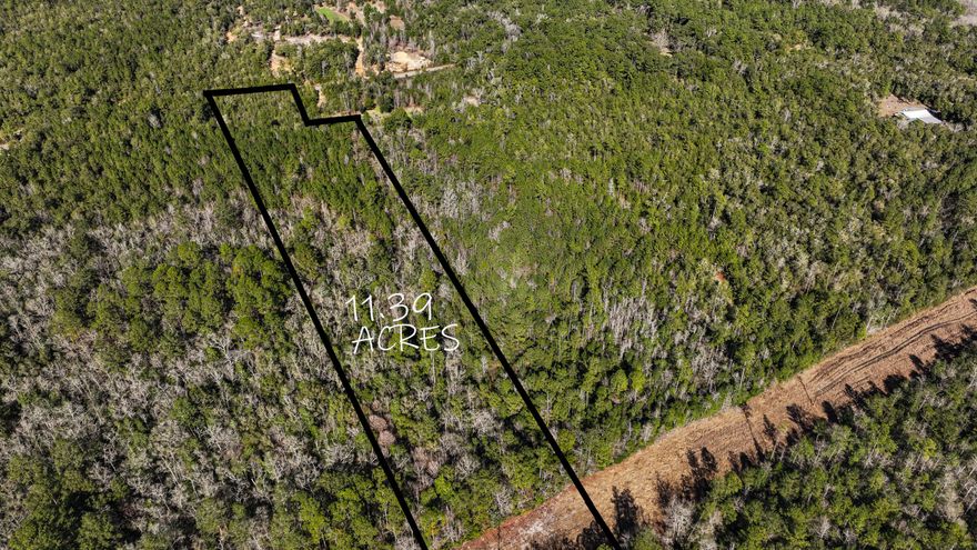 Tucked away in the heart of the Eucheeanna community, just six miles southeast of DeFuniak Springs, this beautiful 11.40-acre wooded property offers the perfect balance of privacy and convenience. Surrounded by large tracts of land held by multi-generational owners, the setting is truly out of town; quiet, spacious, and unspoiled, yet you're never far from what you need. Enjoy easy access to DeFuniak Springs for shopping, dining, and everyday essentials, and a short drive to Hwy 331 South provides a straight shot to the sugar-white beaches of Walton County in under 35 minutes. It's an ideal location for those who want room to breathe without sacrificing connectivity. The property is rich with natural beauty, featuring towering pines and magnolias throughout. The front portion of the(cont. property is zoned X and offers an excellent homesite for a custom dream home, modular, or mobile home. Bruce Creek flows nearby, and the back portion of the property may experience seasonal overflow during periods of heavy, extended rainfall, adding to the natural character of the land. 