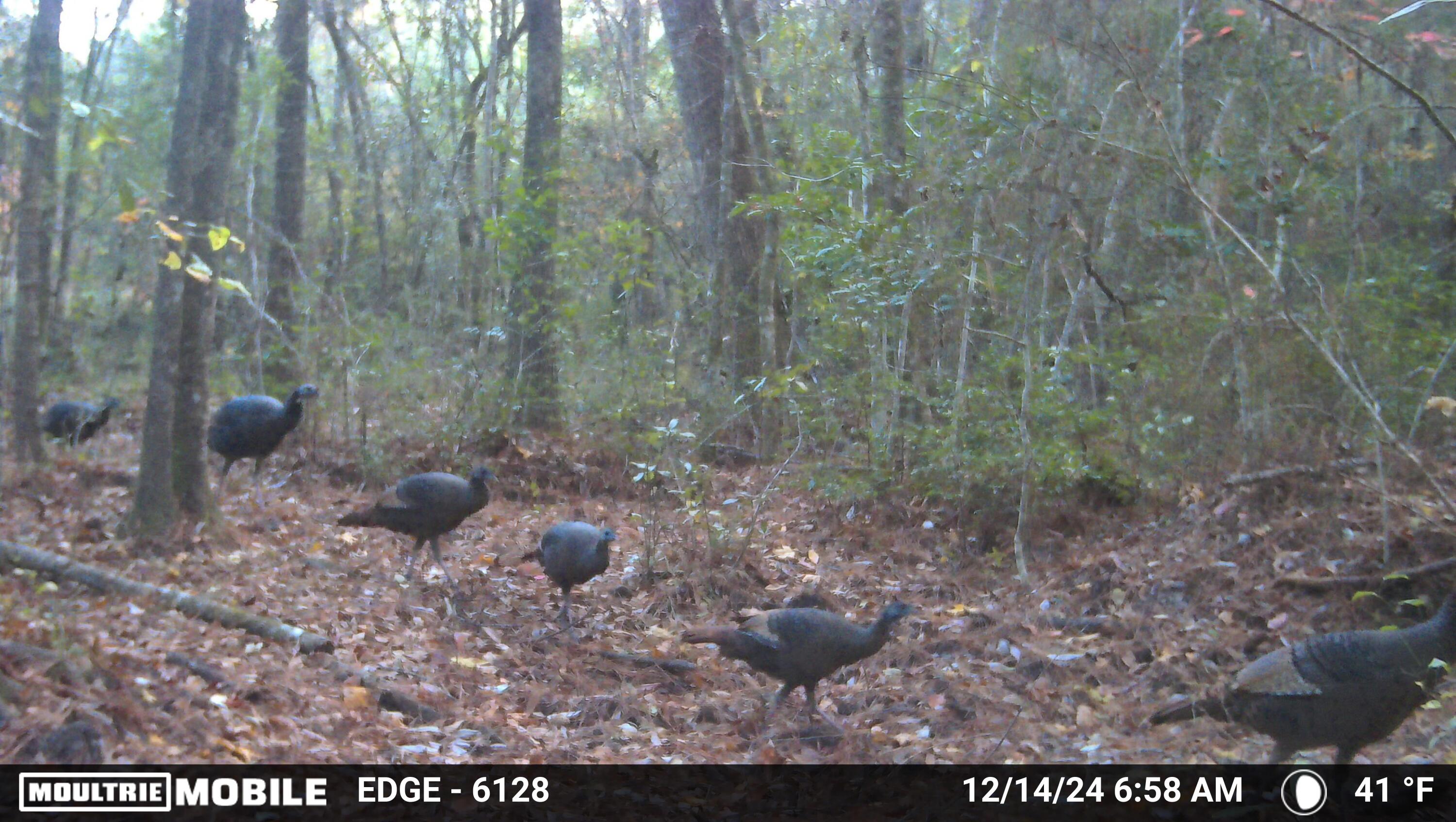 METES & BOUNDS - Land