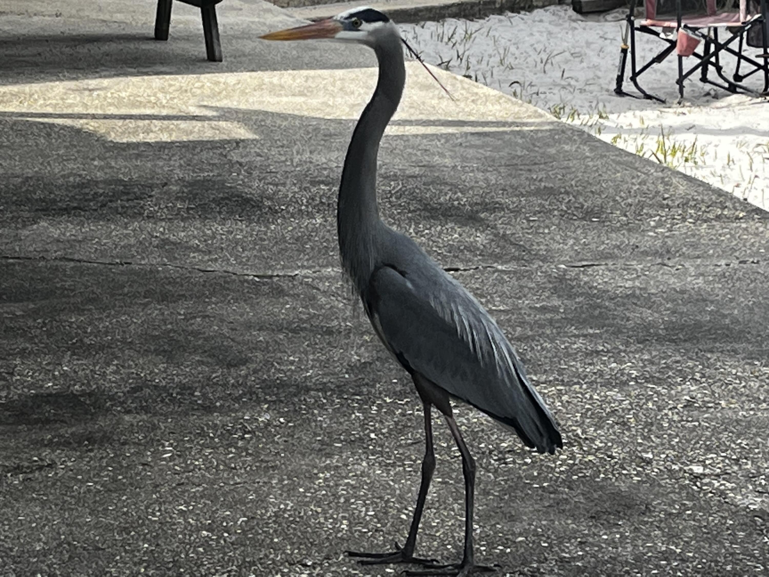 WATERWAY CONDO - Residential