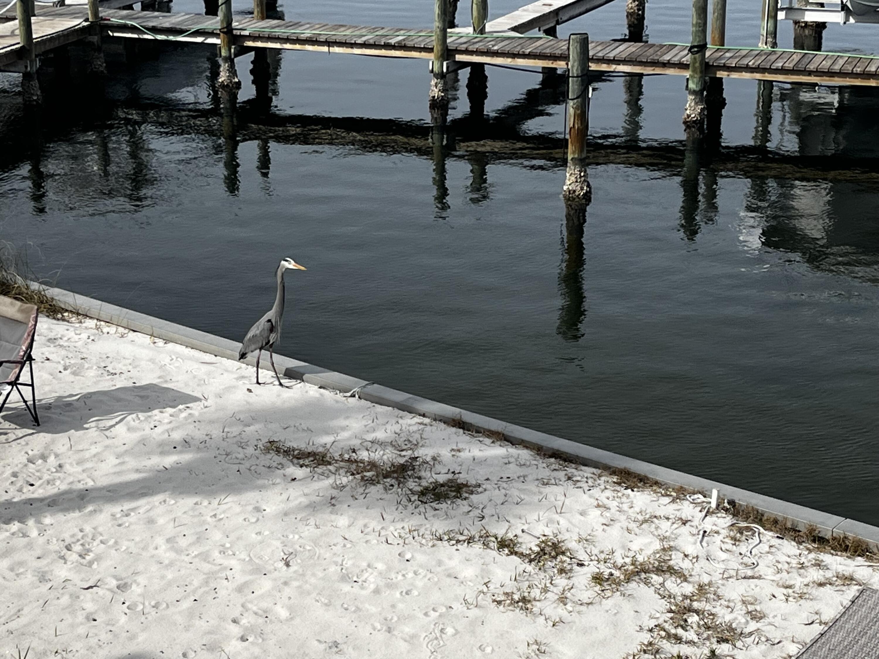 WATERWAY CONDO - Residential