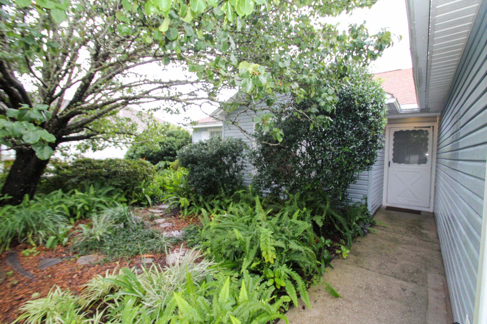 CARDINAL ESTATES - Residential