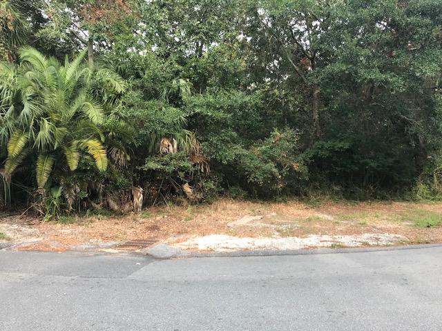 PORT DIXIE LOTS - Land