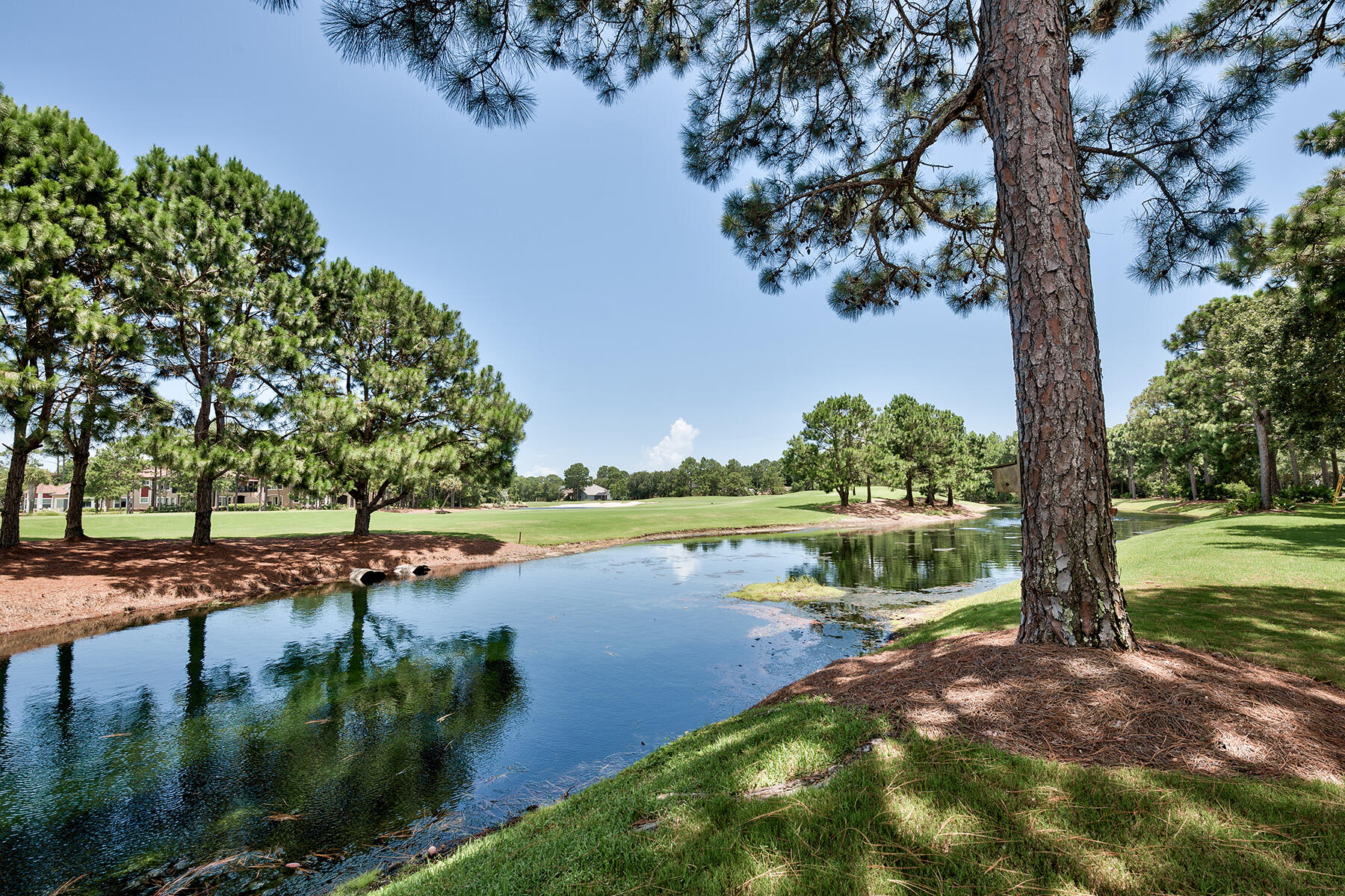 ISLAND GREEN - Residential