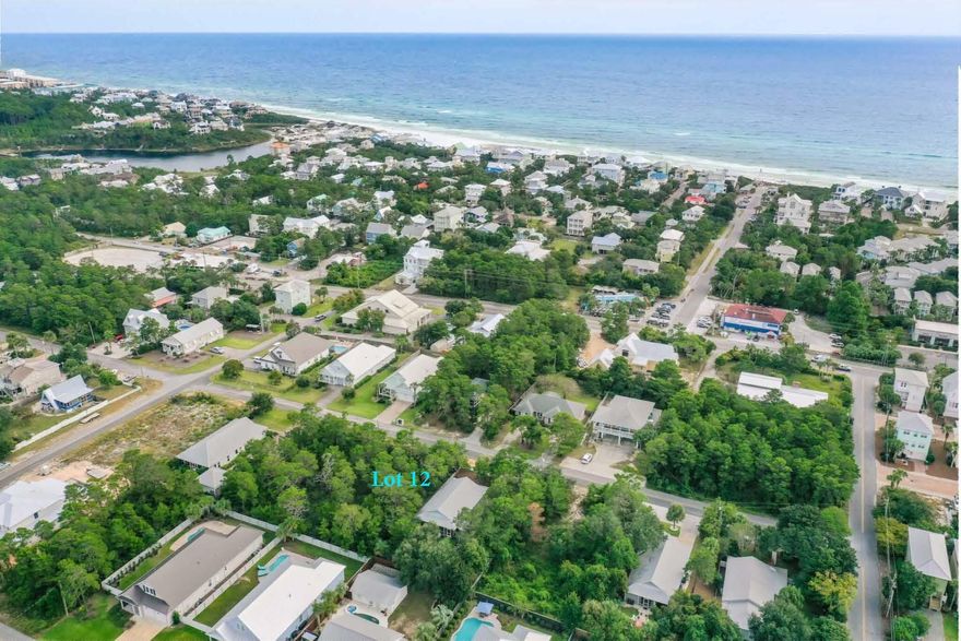 Beach access is only a few blocks from this lot, with Maple Street being one street north of 30A. Maple Street has newly constructed houses near this lot as well as new houses on Birch Street which joins rear of this lot. Large lot will accommodate house, pool, etc.. Burgeoning neighborhood with many new homes being constructed or already built.