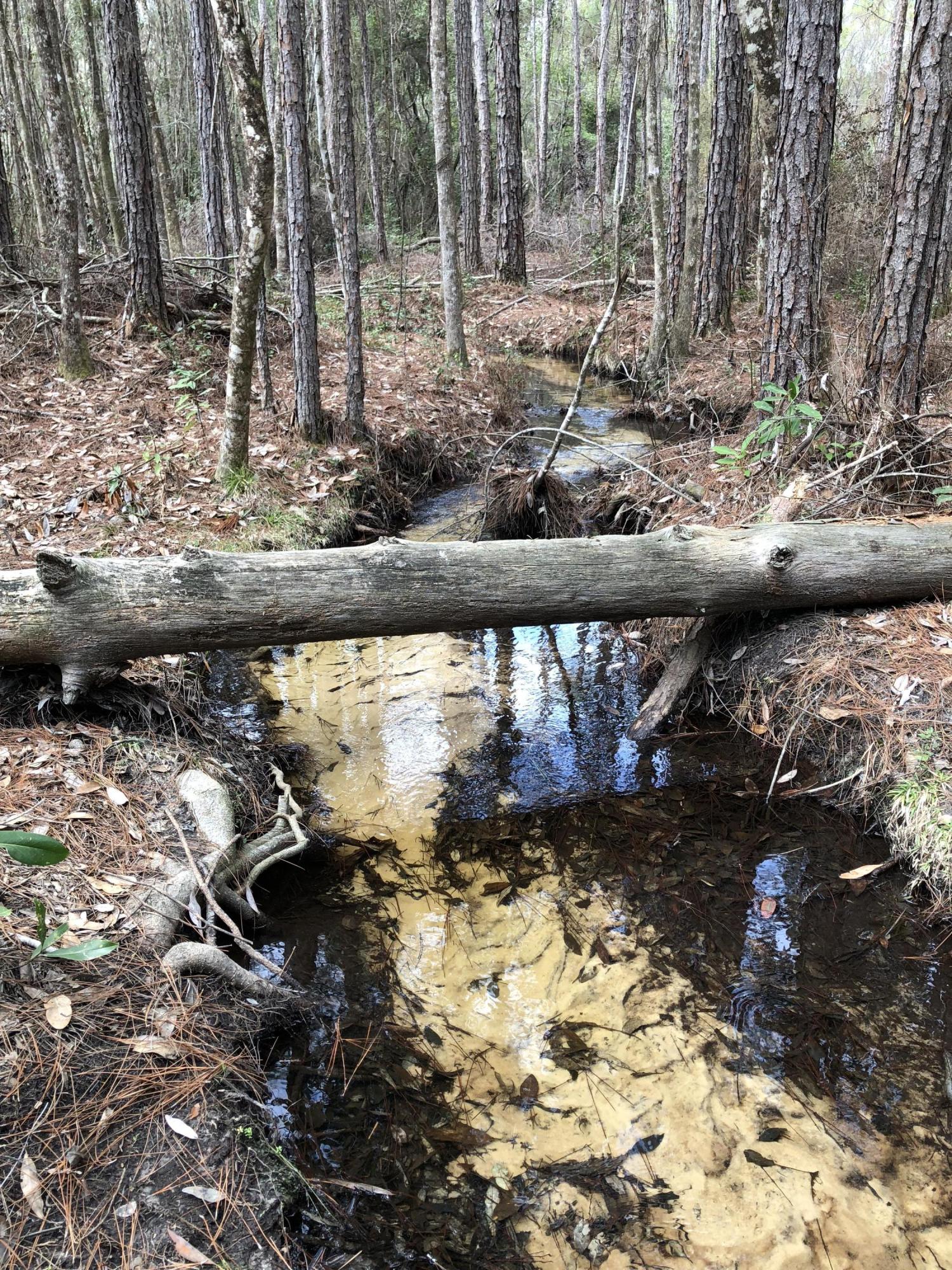 Beautiful hardwoods, large level homesite stream with highway frontage! Possible commercial use. The county will allow agricultural related business in Agricultural zoning on Hwy 90. Purchase of this 10 Acres is contigent on the closing of the 20 Acres to the East that is currently under contract.