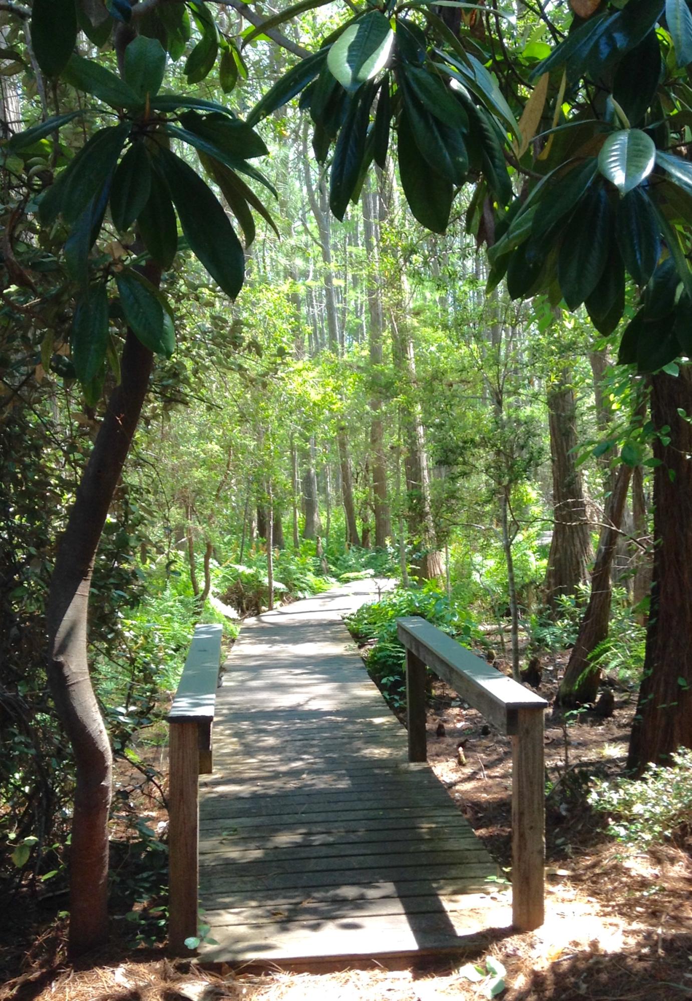 CASSINE GARDENS T/H PH 4 - Residential