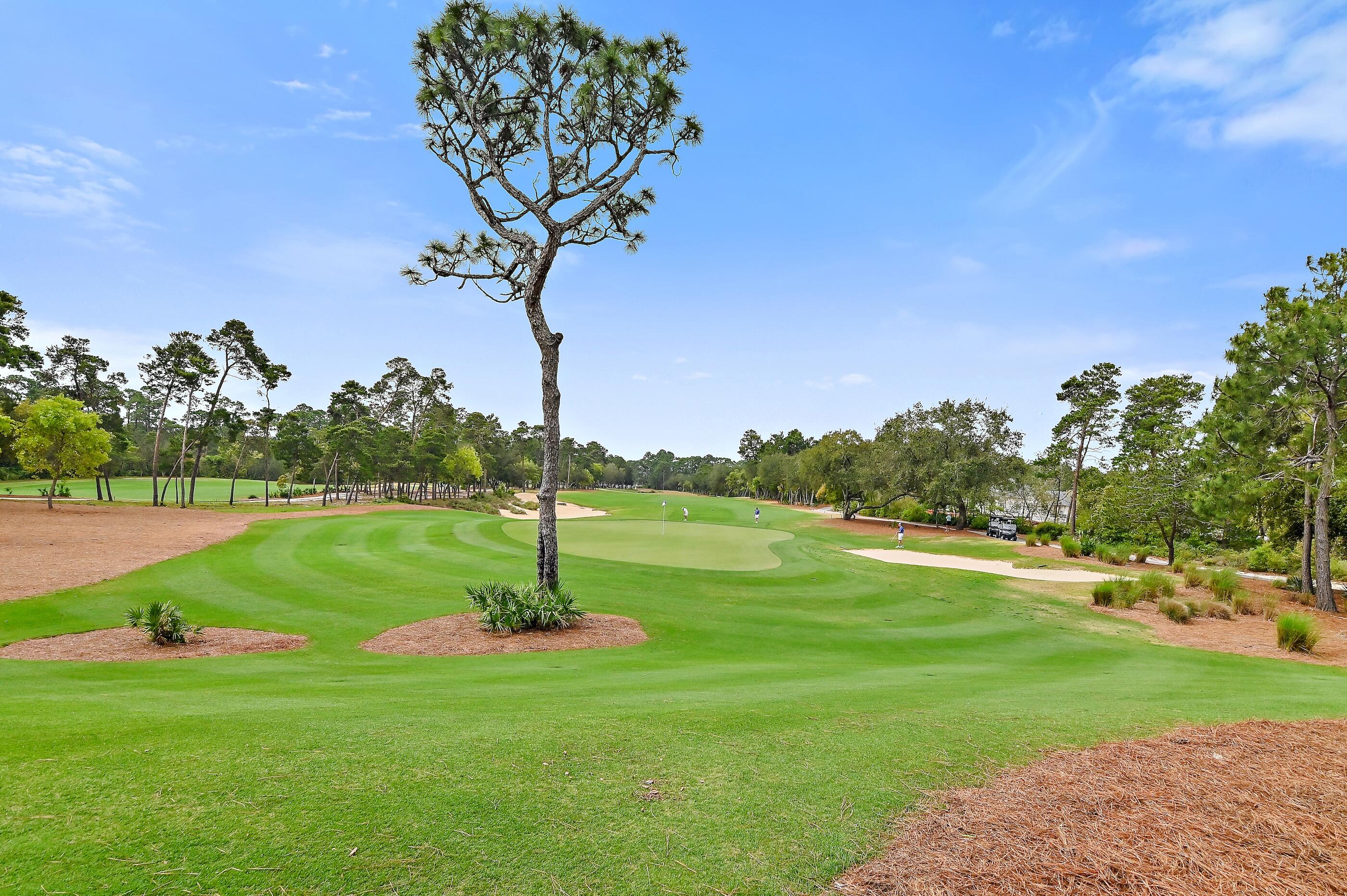 THE COURTS AT WILD HERON PHASE I - Residential