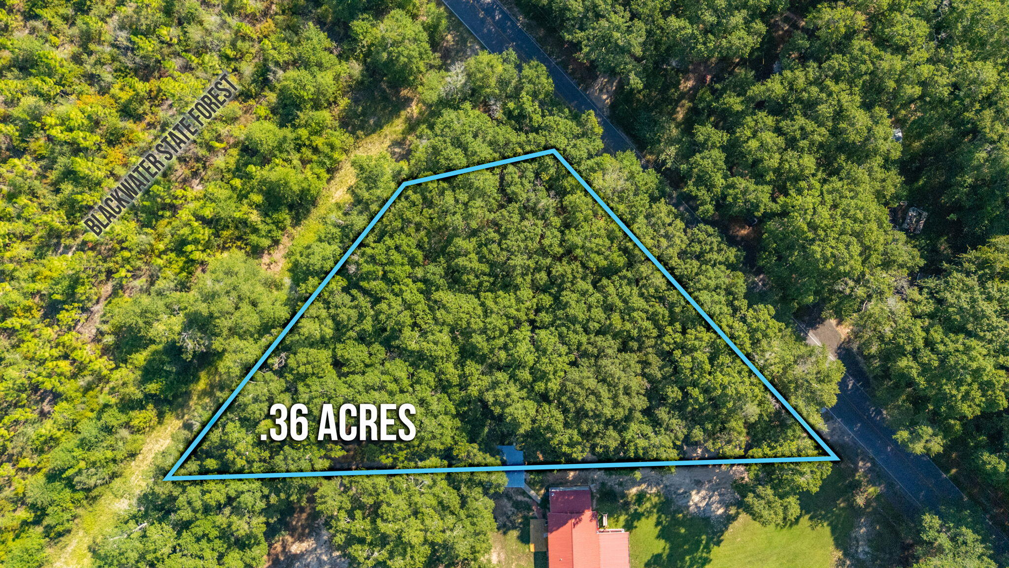 If you've been searching for the ideal spot to build your dream home or getaway, this level .36-acre lot is a must-see! Located less than 60 feet from Blackwater State Forest, this property is perfect for anyone who loves a peaceful rural setting, outdoor adventures, and the beauty of nature right at your doorstep.Enjoy hiking, hunting, and exploring the forest, all while still being close to everyday conveniences. You're just 10 minutes to Holt, 15 minutes to Milton, 25 minutes to Crestview, and only 35-40 minutes to the stunning white sandy beaches of Navarre.Whether you're looking for your forever home site or a serene weekend retreat, this location offers the best of both worlds -- seclusion and convenience. Call to schedule your showing today!