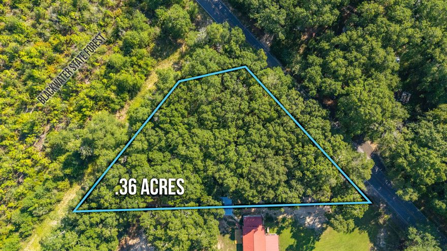 If you've been searching for the ideal spot to build your dream home or getaway, this level .36-acre lot is a must-see! Located less than 60 feet from Blackwater State Forest, this property is perfect for anyone who loves a peaceful rural setting, outdoor adventures, and the beauty of nature right at your doorstep.Enjoy hiking, hunting, and exploring the forest, all while still being close to everyday conveniences. You're just 10 minutes to Holt, 15 minutes to Milton, 25 minutes to Crestview, and only 35-40 minutes to the stunning white sandy beaches of Navarre.Whether you're looking for your forever home site or a serene weekend retreat, this location offers the best of both worlds -- seclusion and convenience. Call to schedule your showing today!