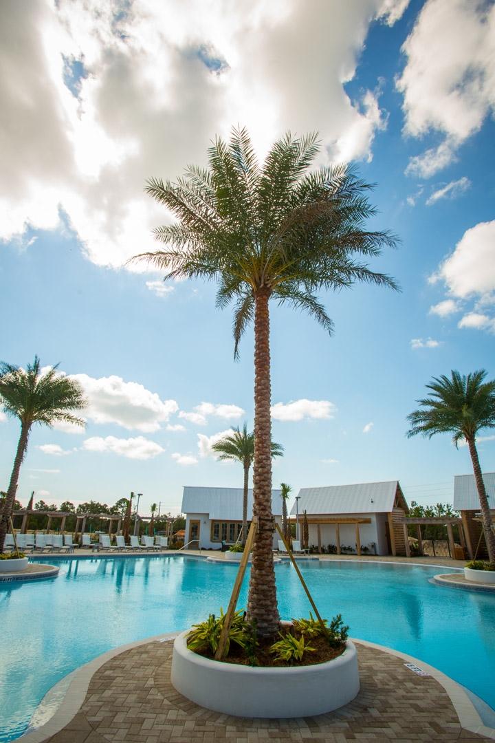 Prominence - Residential