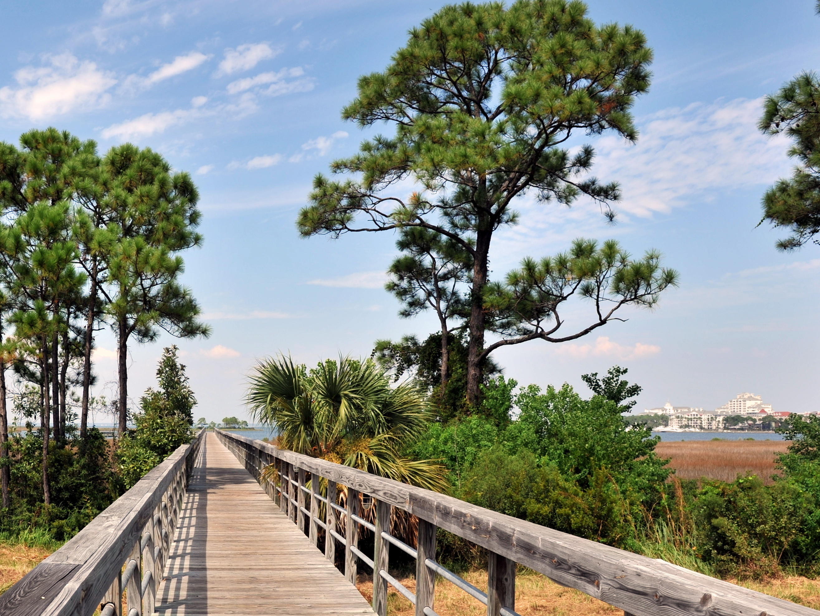 LAUREL GROVE - Residential