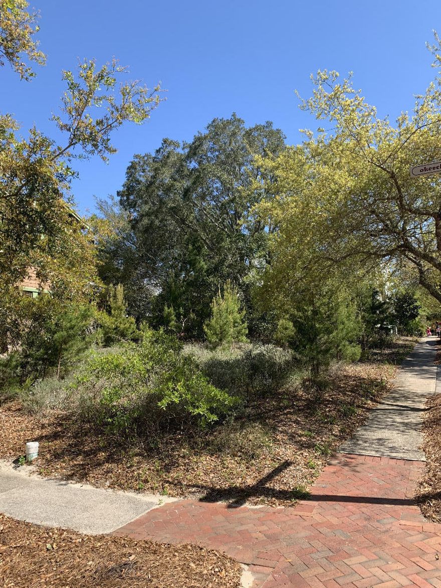 Vacant corner lot