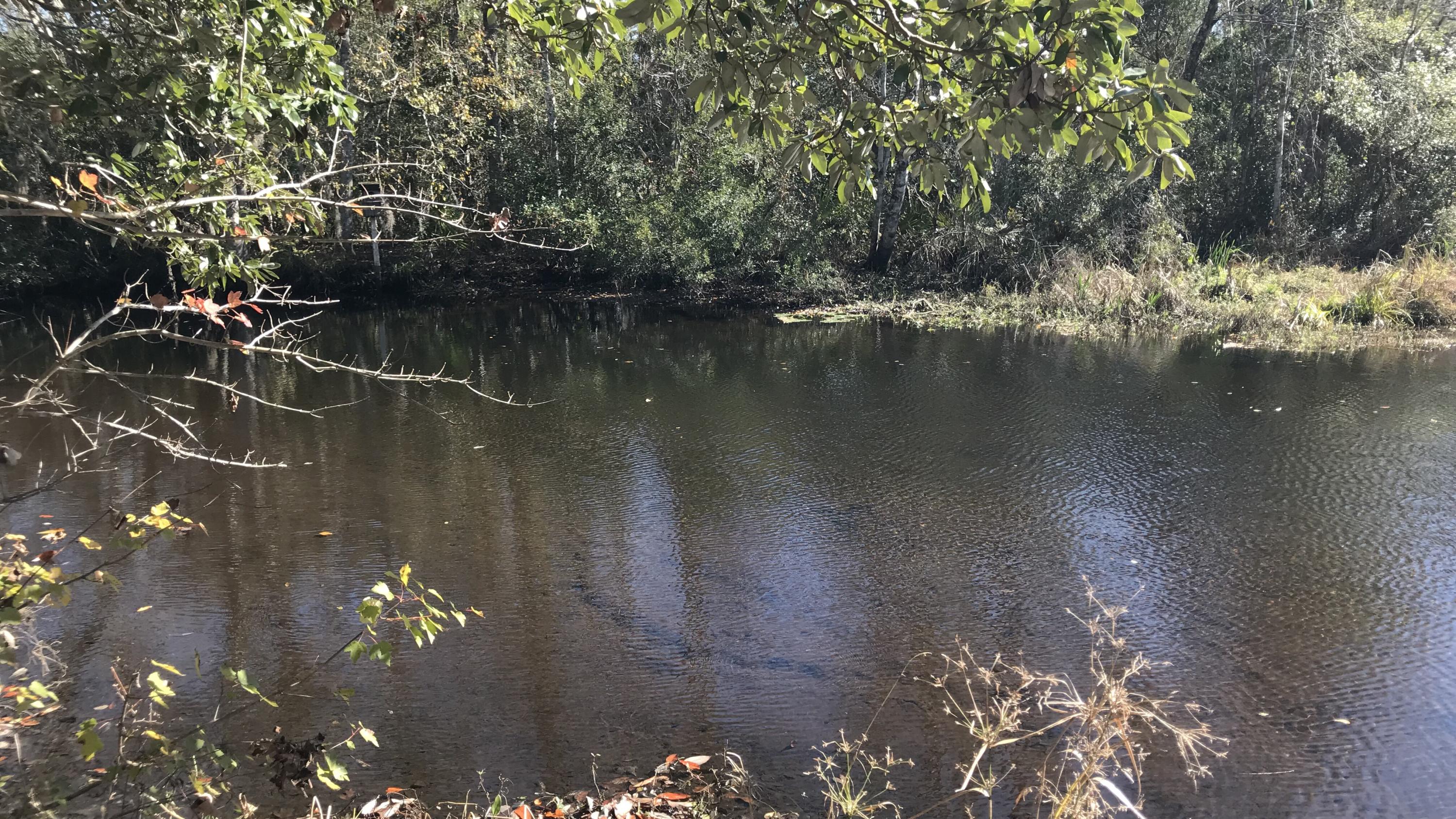 CHOCTAW - Residential