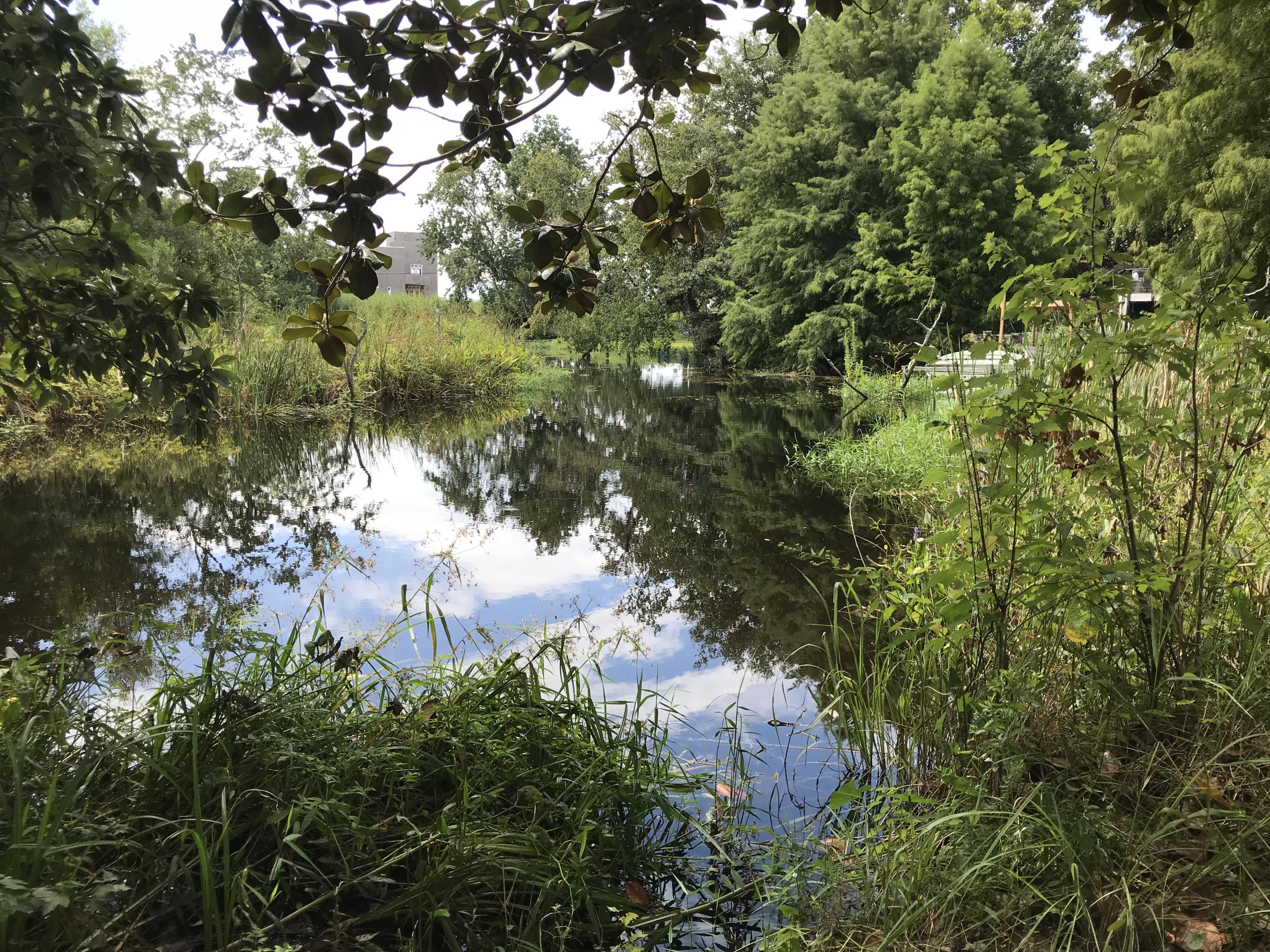 CHOCTAW - Residential