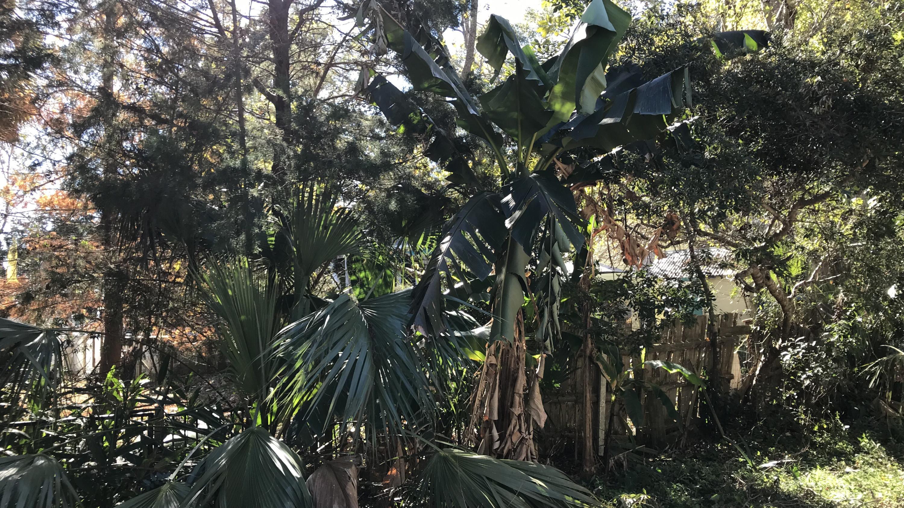 CHOCTAW - Residential