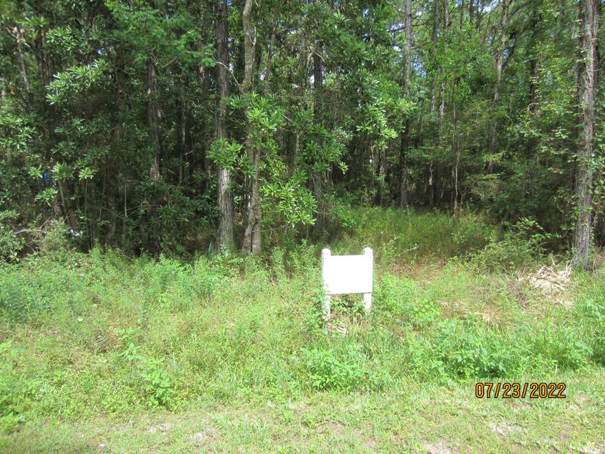 Beautiful residential lot nicely located with easy access to Hwy 98 and the many treasures of South Walton, including Scenic 30A, Beaches, and shops.  Mobile homes & Tiny Homes okay. There is no HOA.  Public Water & Sewer available in the general area.  Buyer would need to pay for any extension or connection fees. Great opportunity to own real estate in what some are now calling the 'Hampton's' of Florida.