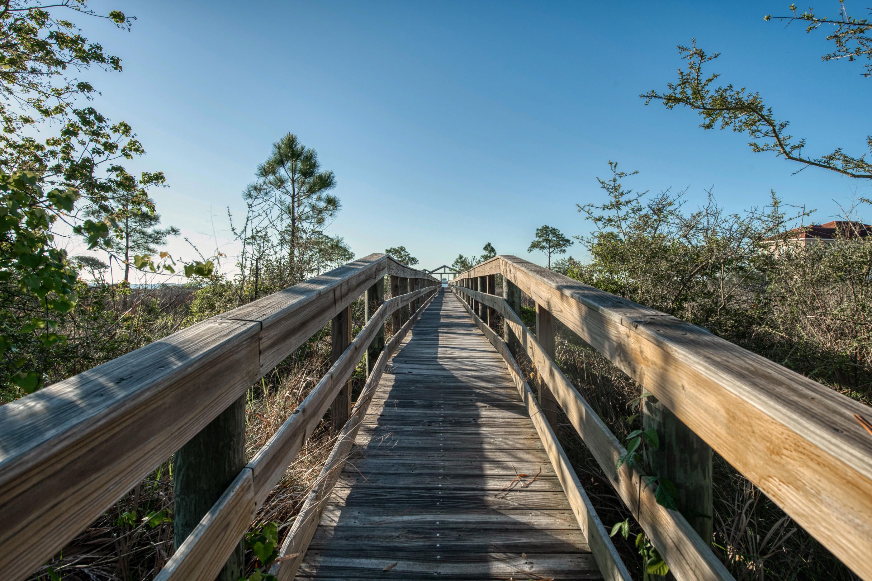 BISCAYNE POINTE - Residential