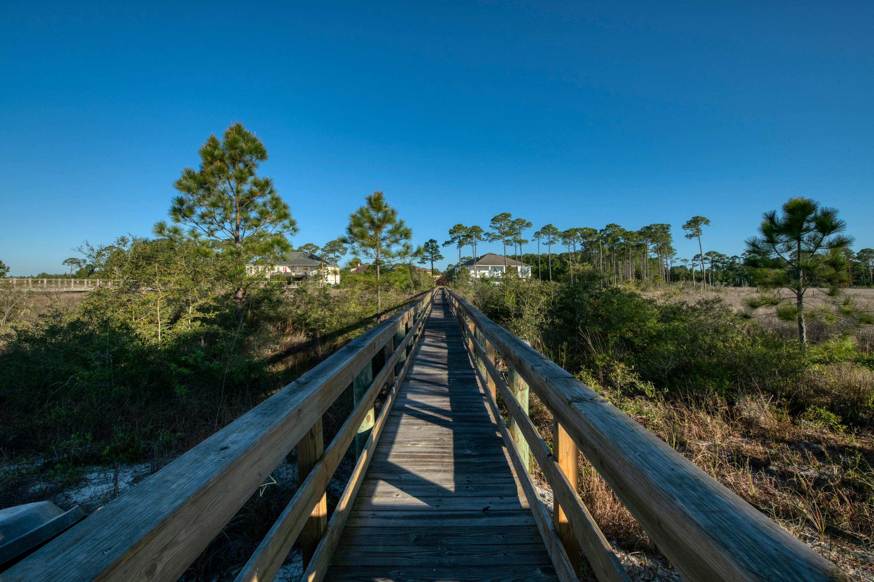 BISCAYNE POINTE - Residential