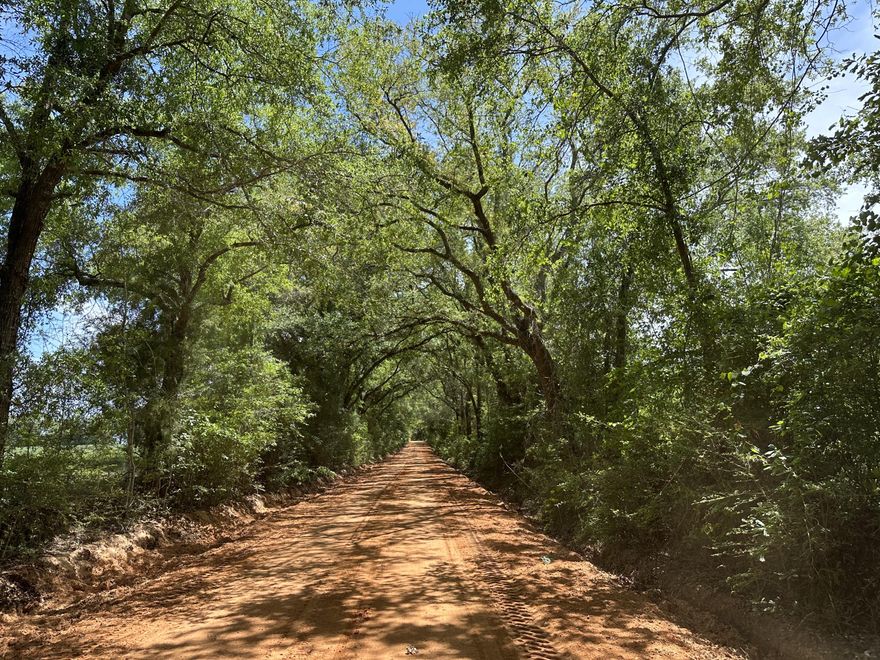 WOW!!! What a view to drive through the oak tunnel on Frost Lane! Talk about breath taking! 14+/- Acres of Prime Agricultural zoned land. This property was once used for row crops years ago and is now the perfect level location for your new home. Easy access to and from Hwy 2, Hwy 85 and just a short drive to the FL/AL stateline.