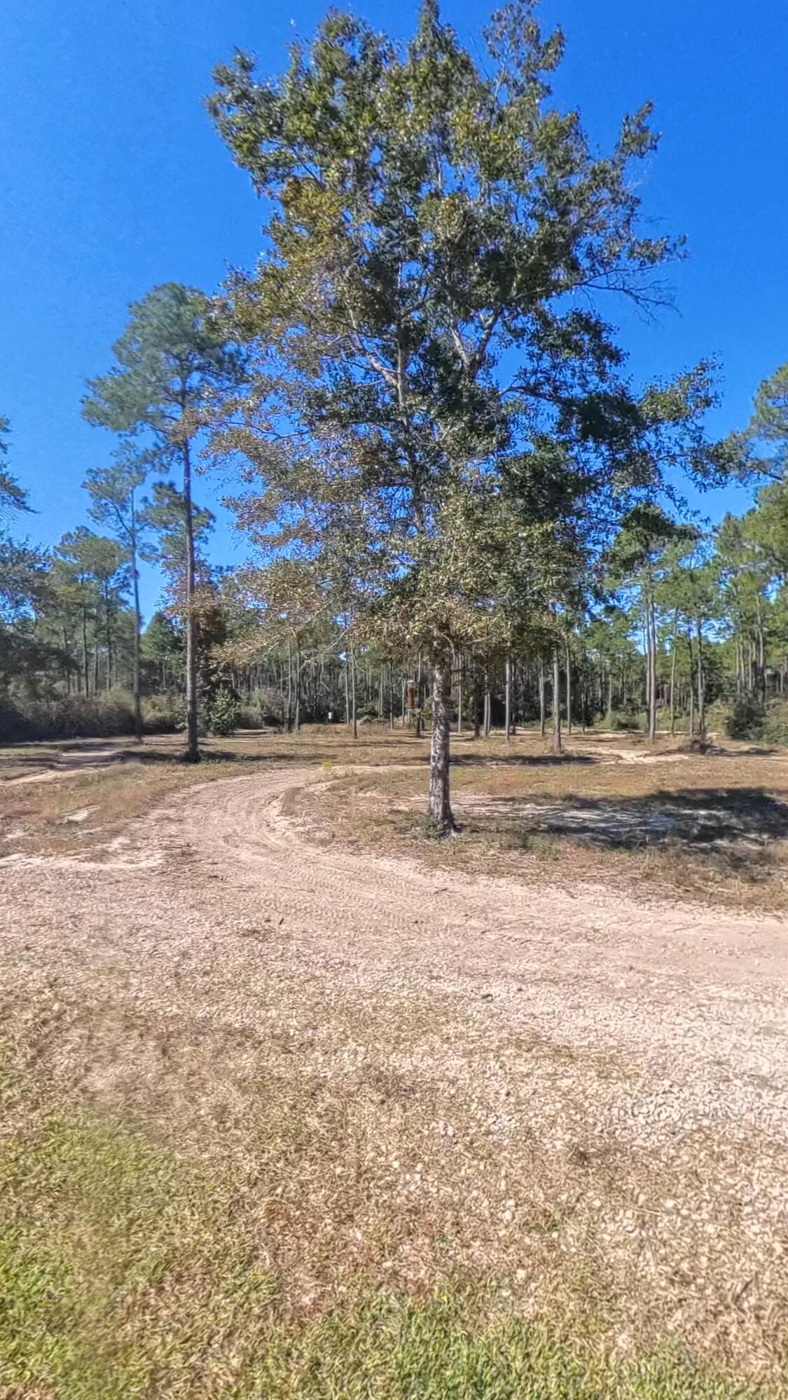 WALTON PLANTATION - Land