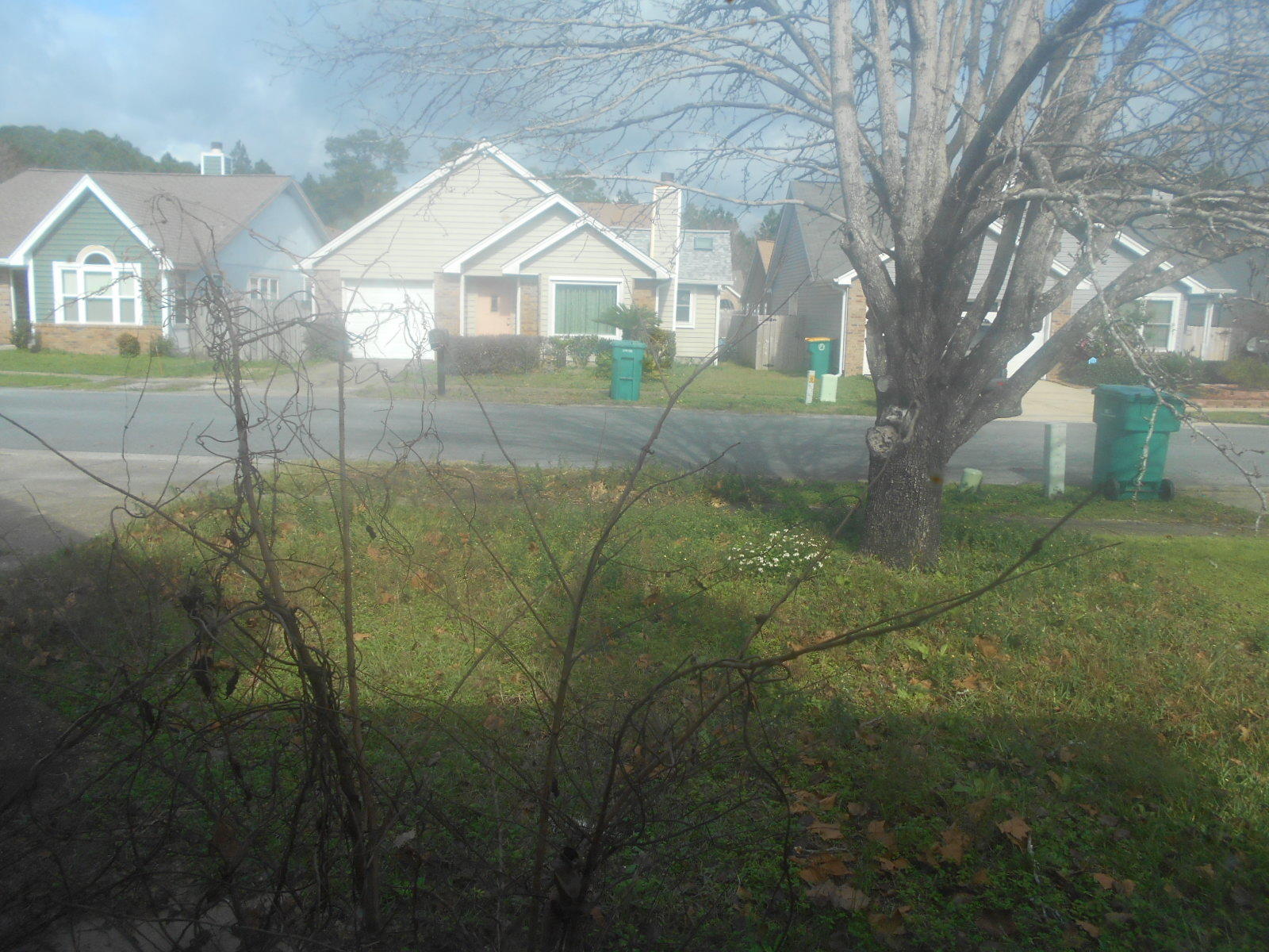 WOODLAND PARK ESTATES - Residential