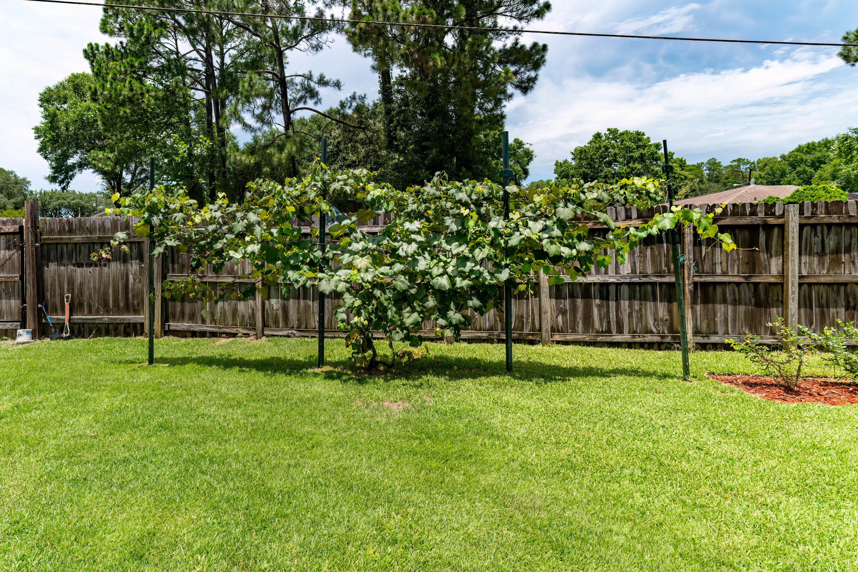 VALPARAISO PINECREST 5 - Residential