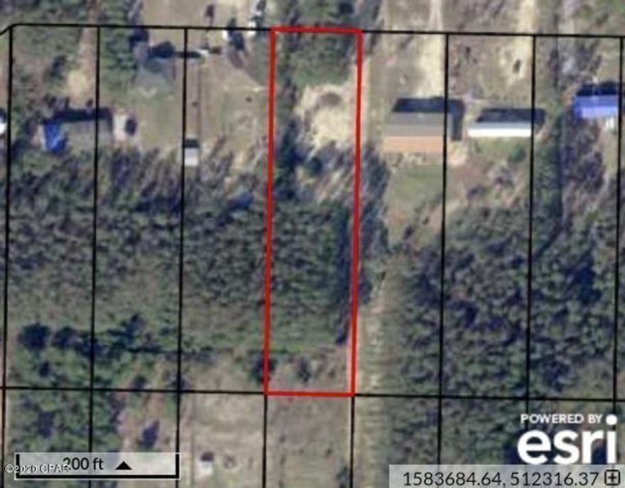 *ENTERED FOR COMP PURPOSES*