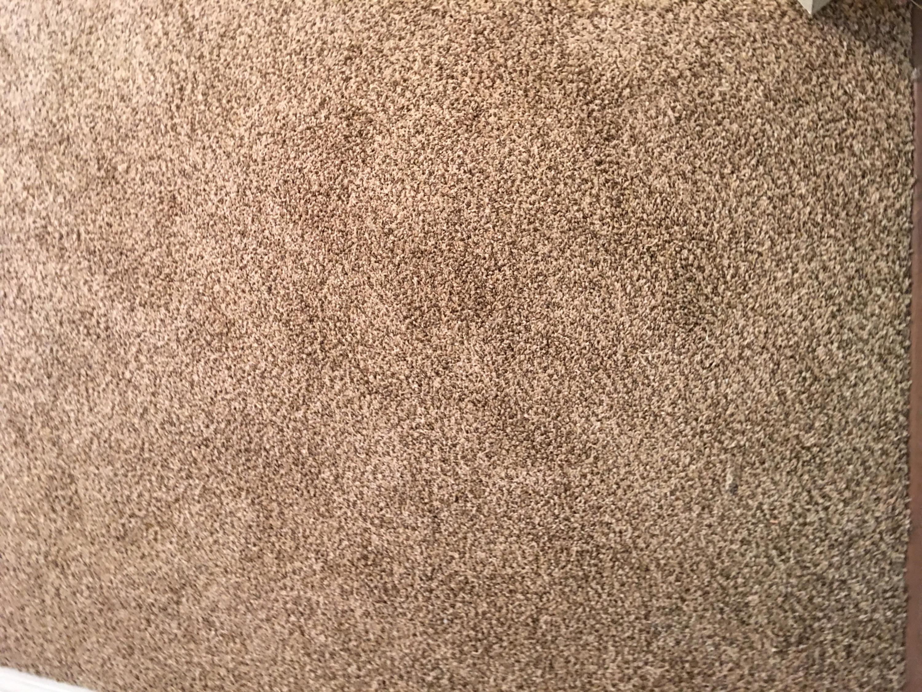 COUNTRYVIEW ESTATES 8TH ADDN - Residential