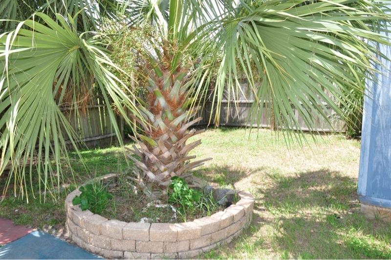 VESTA HEIGHTS 4TH ADDN - Residential