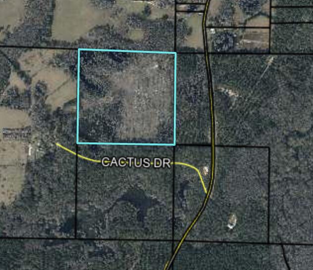 Great Location for Country Living or Hunters Paradise, either way you won't want to miss this opportunity! This Beautiful 39 +/- Acres of prime land. clear cut and replanted -Land Locked. location 15 minutes away from Bonifay. I-10. This tract timber has recently been harvested and tract has been cut. Bring your build plans, hunting gear, Horses, and ATVS. LOCATION LOCATION!!!! This Property has Easy Access to Panama City Beaches, I-10, Hwy 79 and Hwy 90.