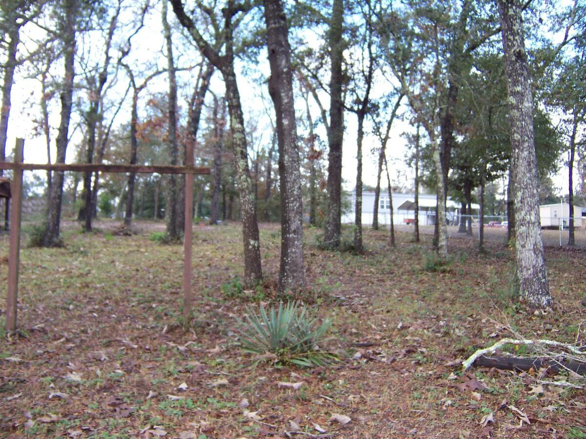 PIper Landing - Land