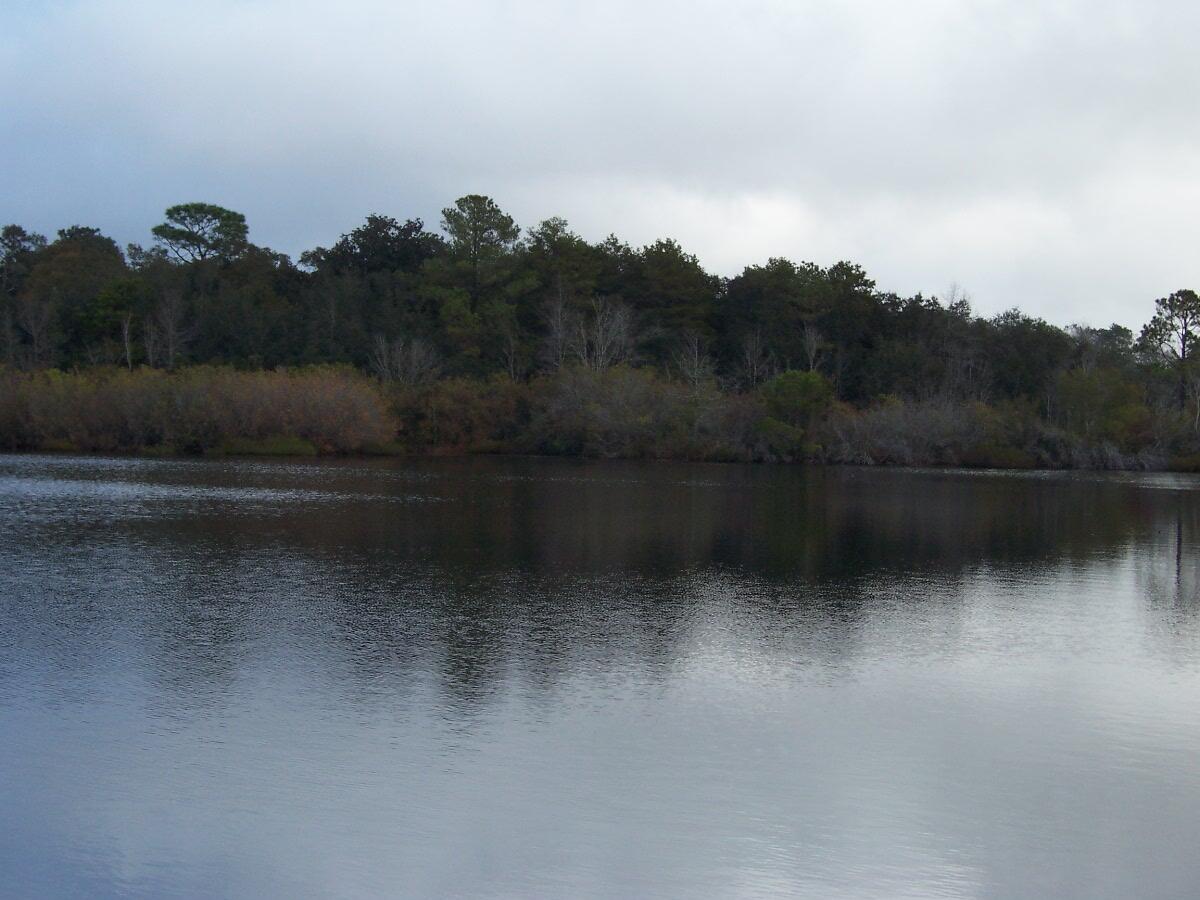 PIper Landing - Land