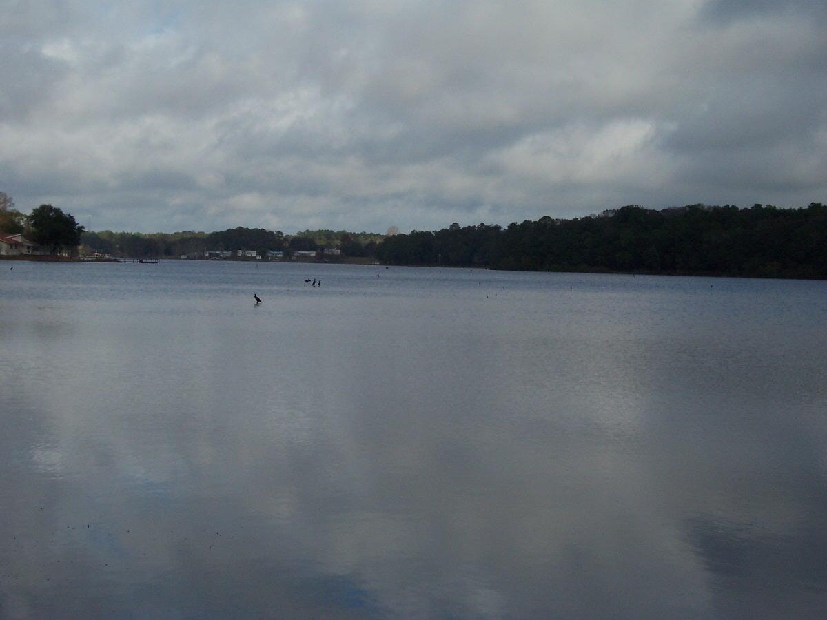 PIper Landing - Land